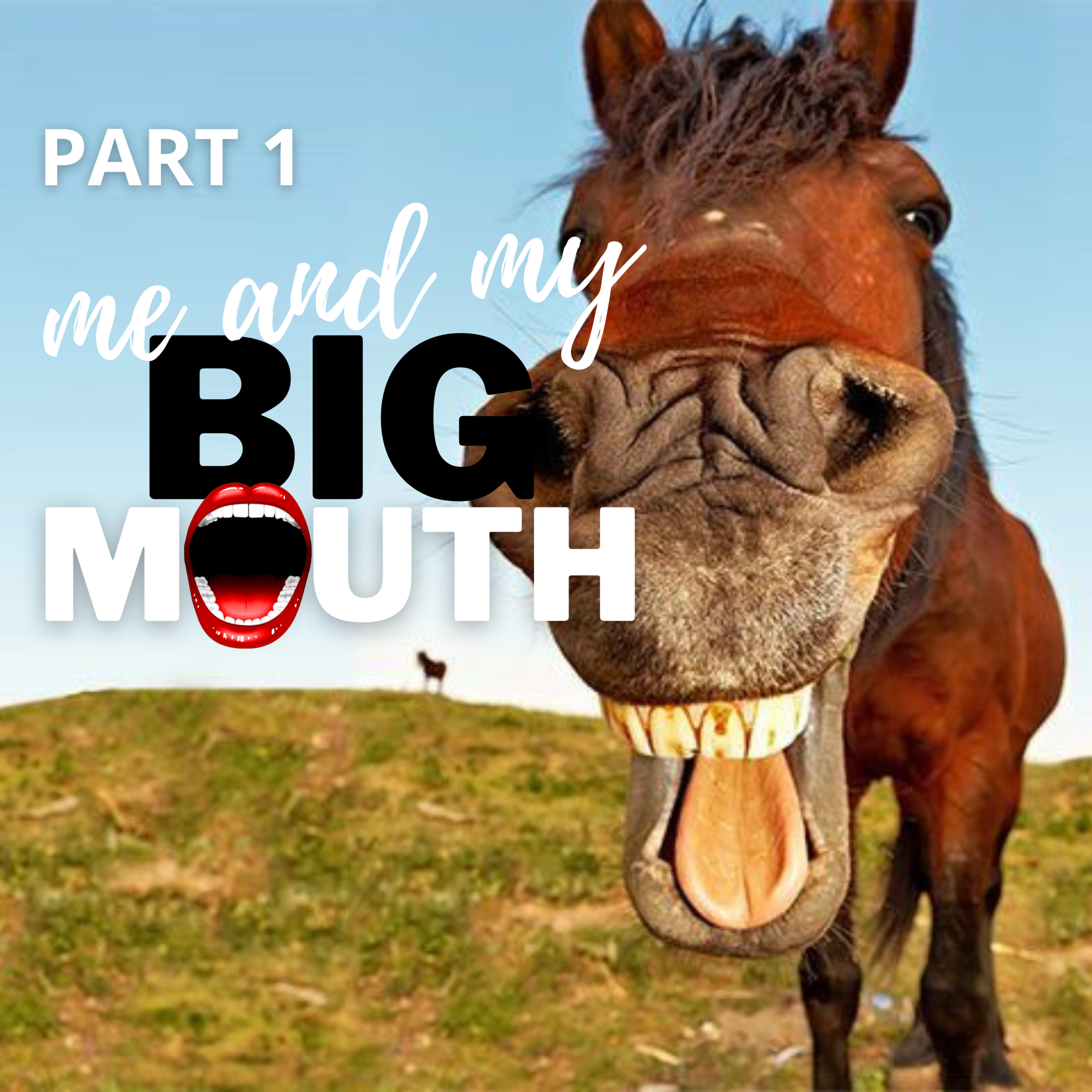 Me and my big mouth part 1