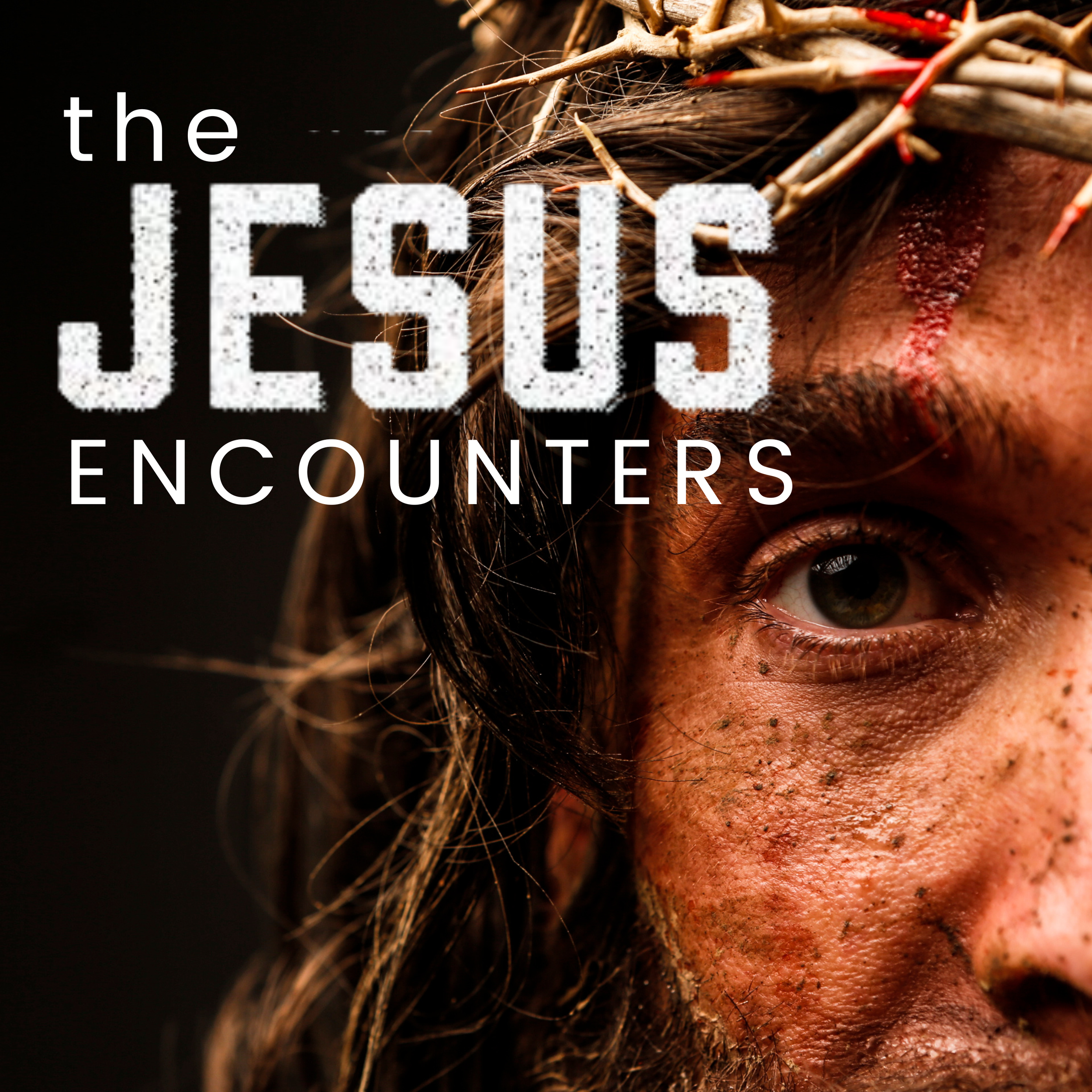 The Jesus Encounters&nbsp;