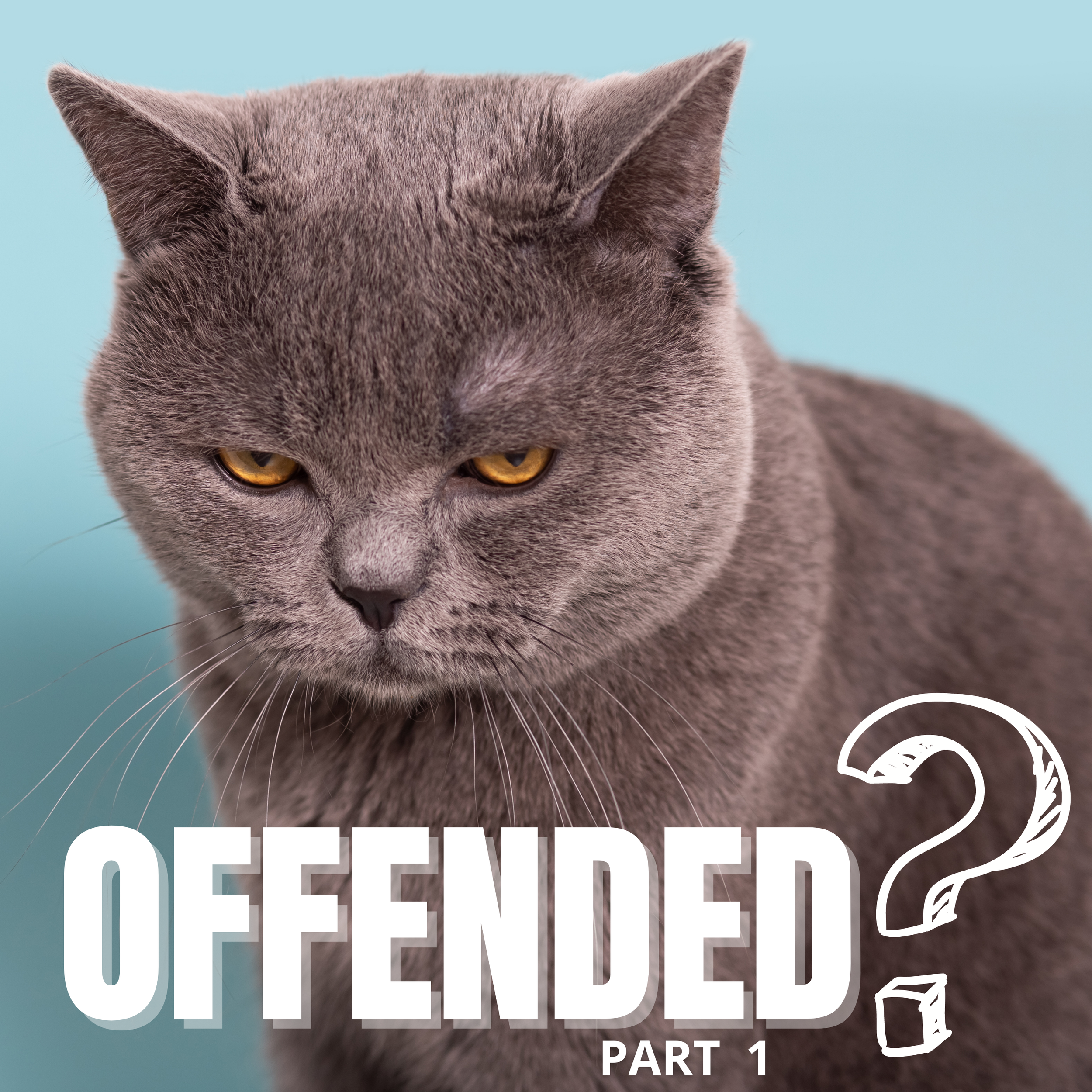 Offended?