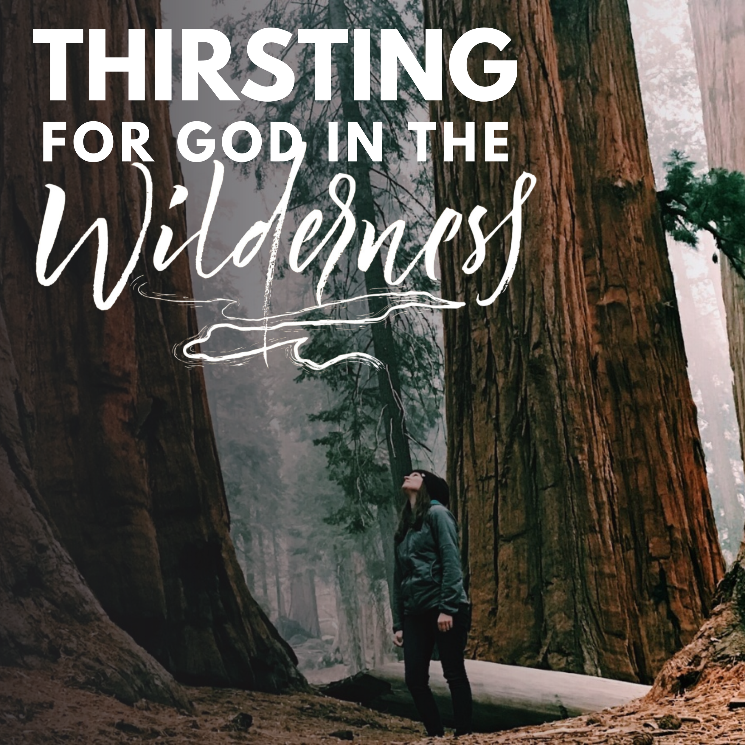 Thirsting For God In The Wilderness