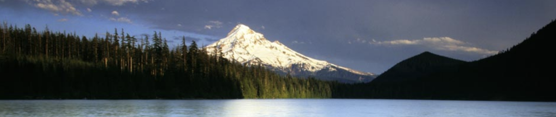 Mountain Writers Series - Gerald Costanzo & Michele Glazer