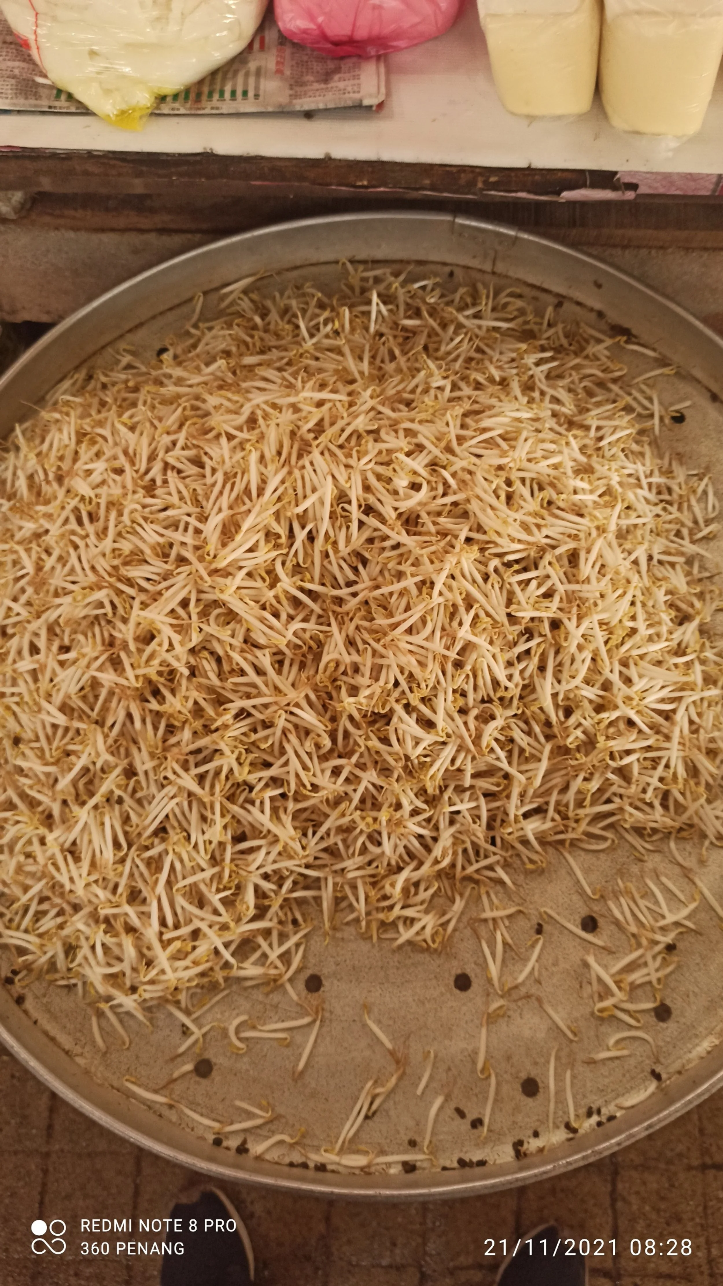 Bean sprouts "Tau Geh"