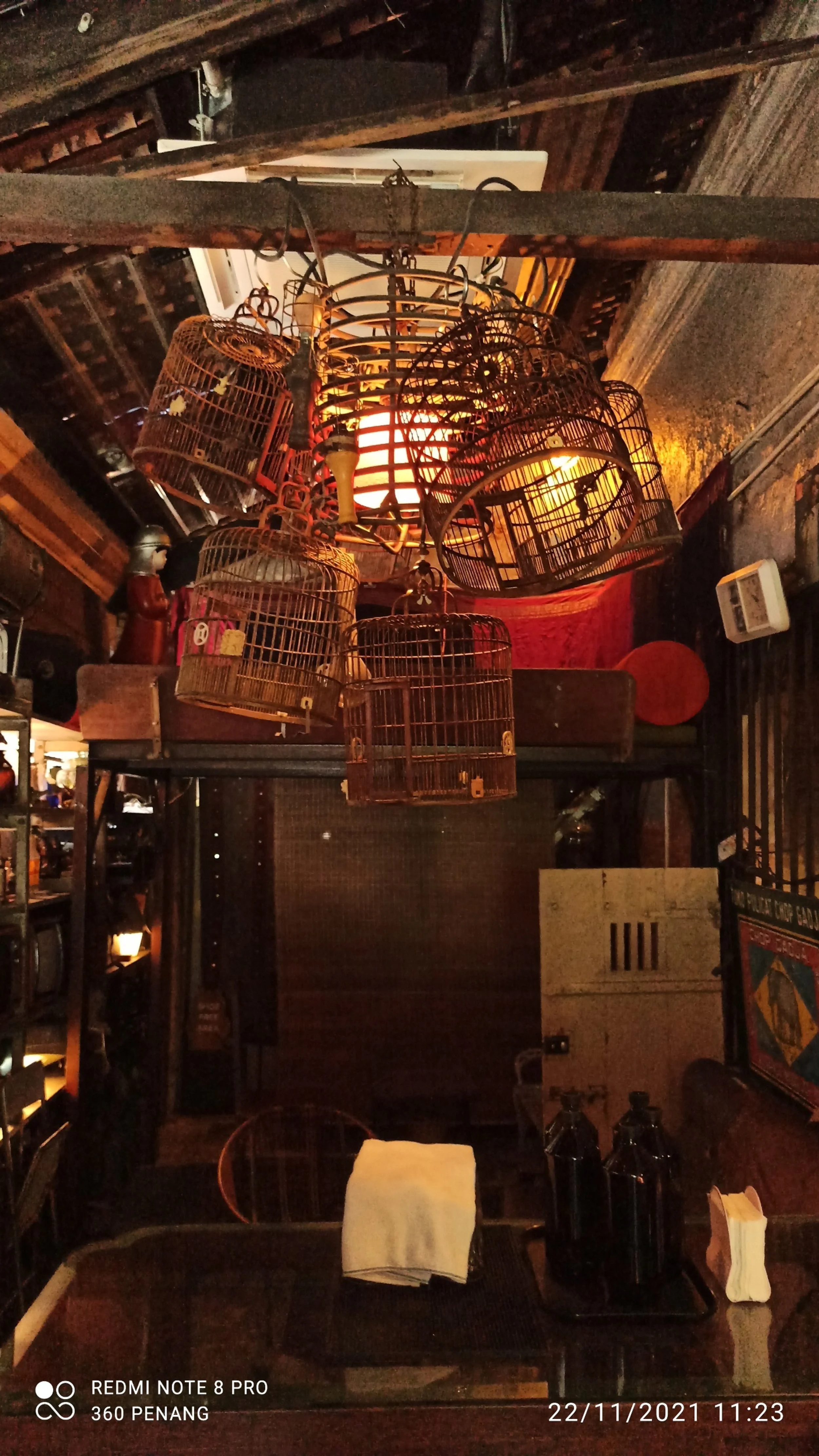 Bird cages suspended from ceiling