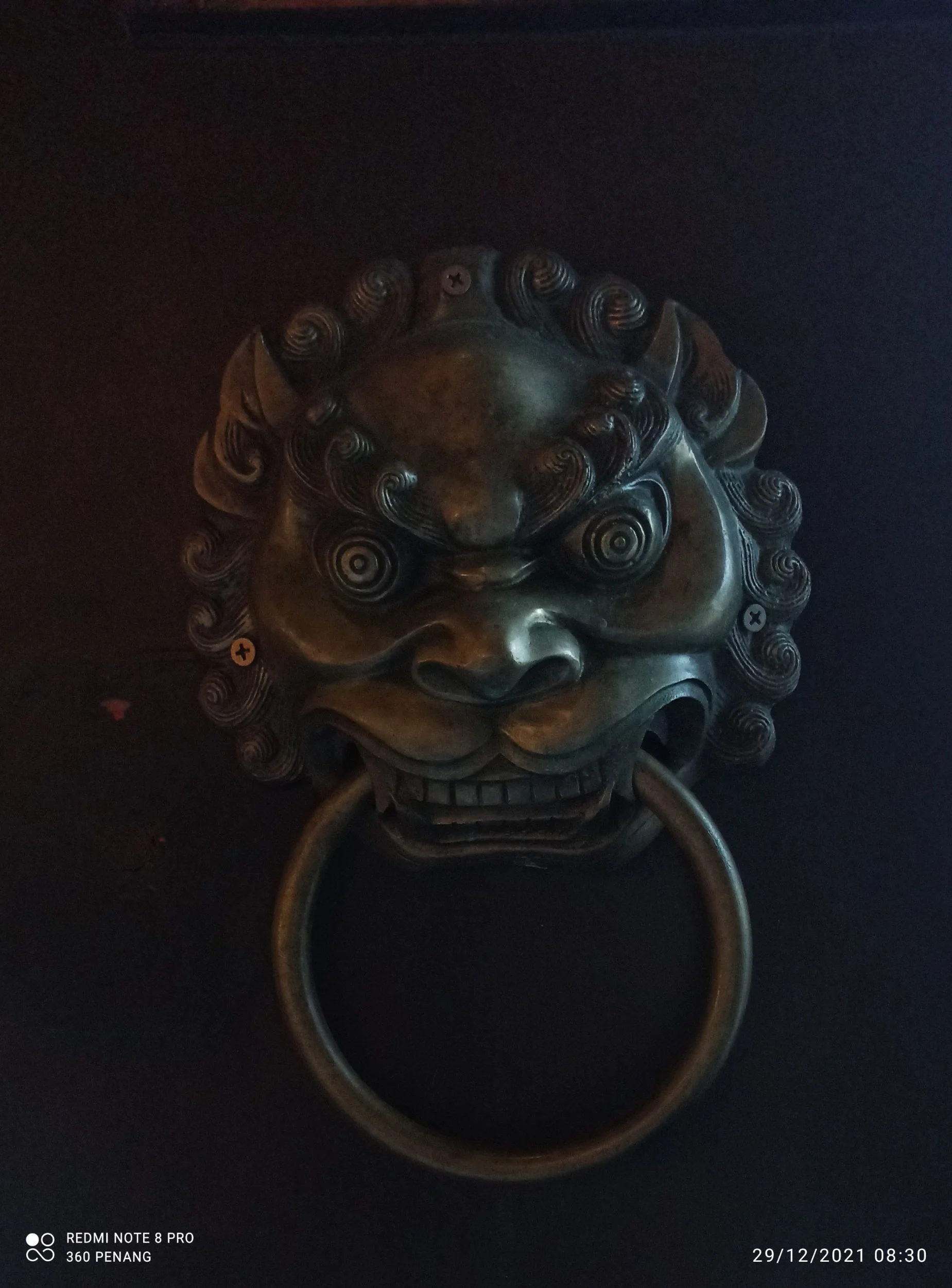 Detail of lion head door knocker