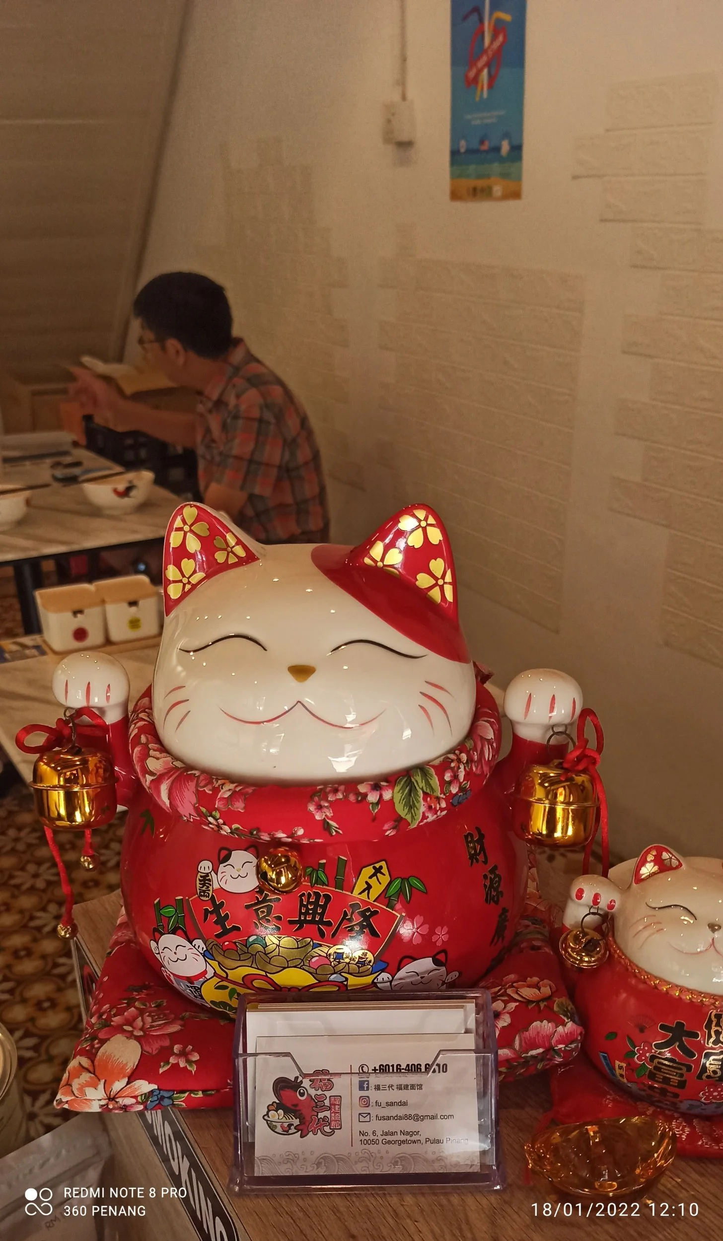 Lucky cat mascot