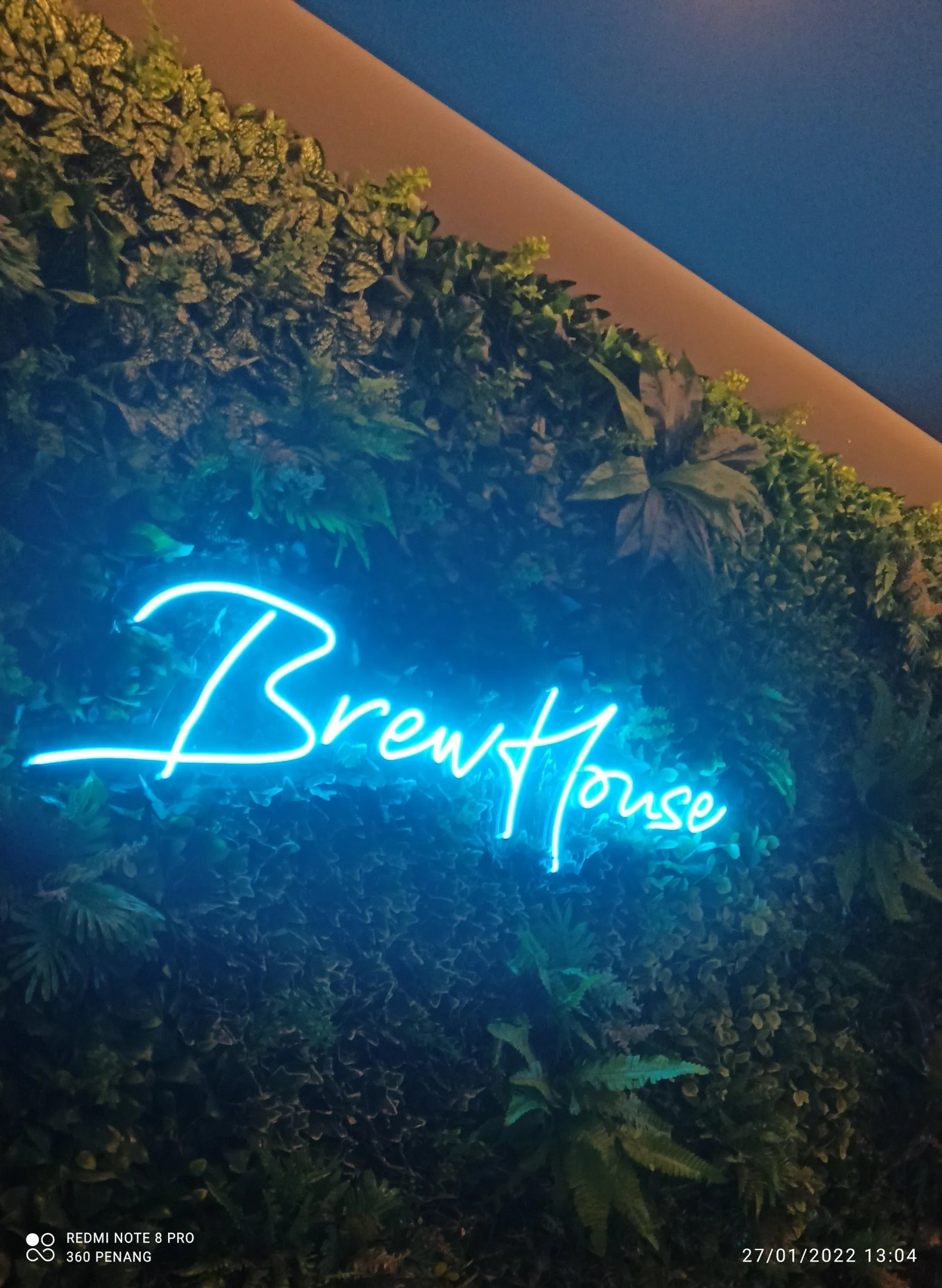Fake vertical garden