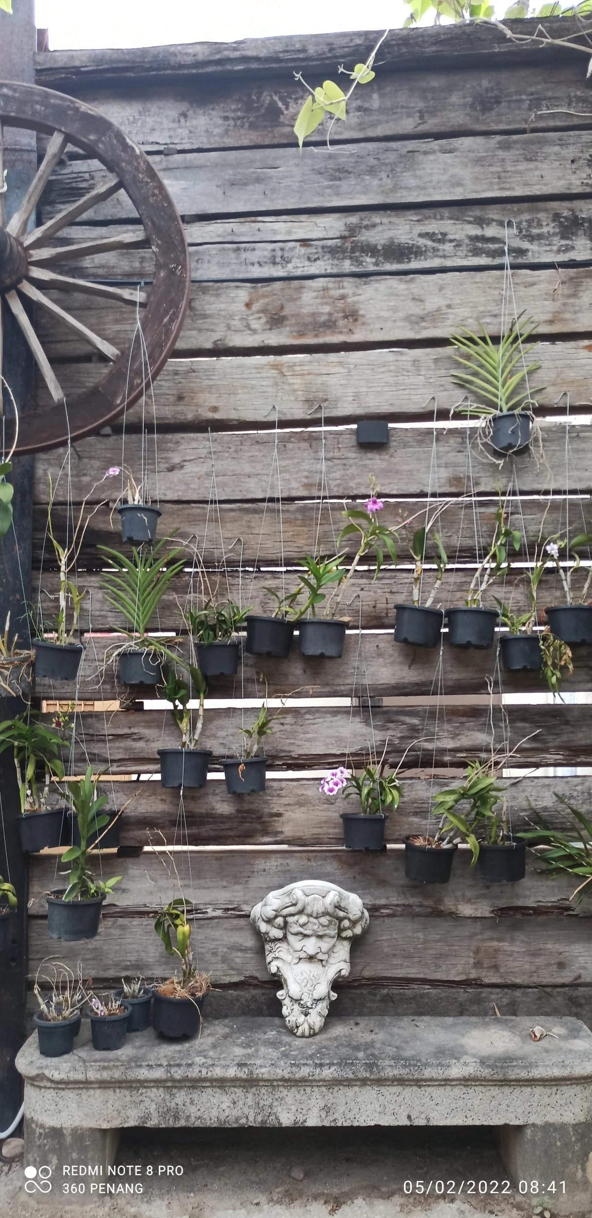 Garden decoe