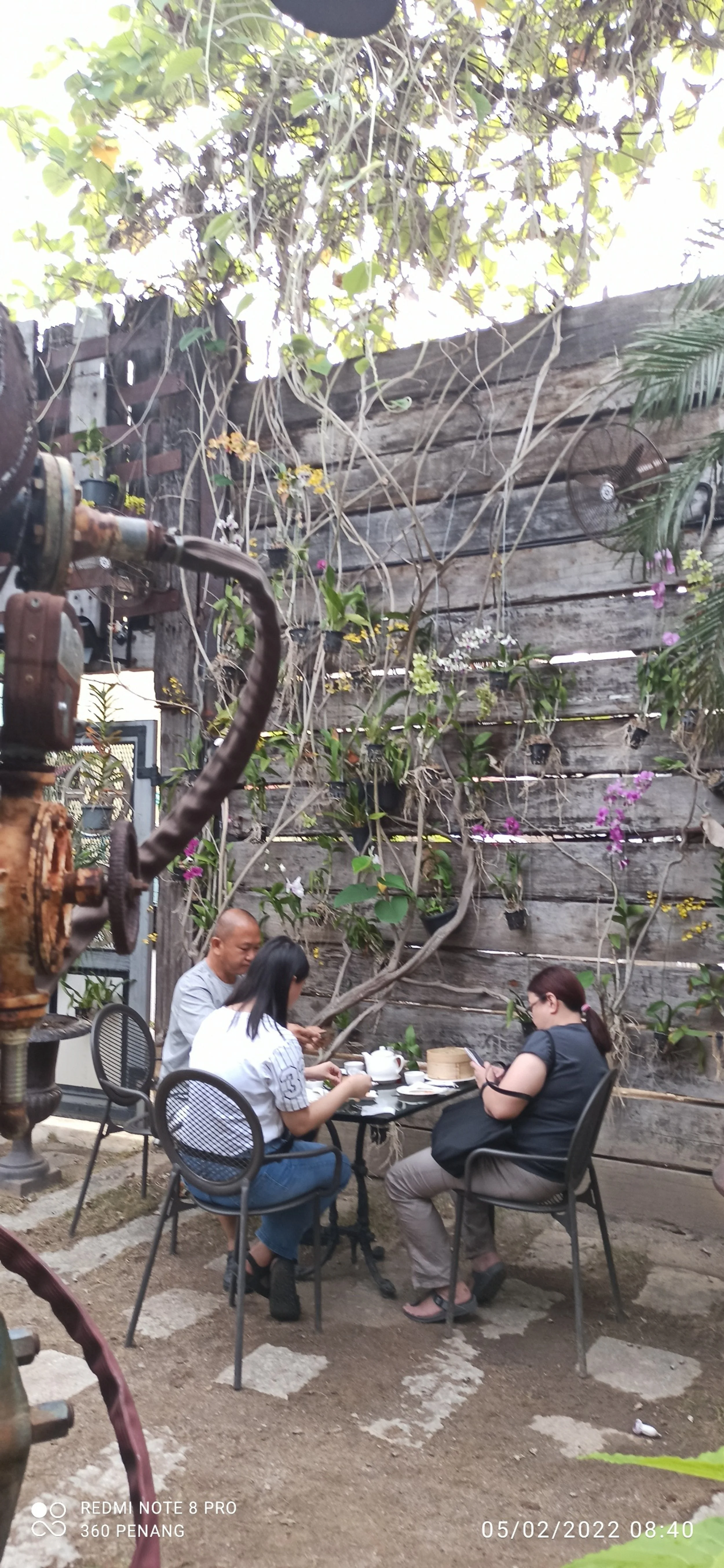 Alfresco dining