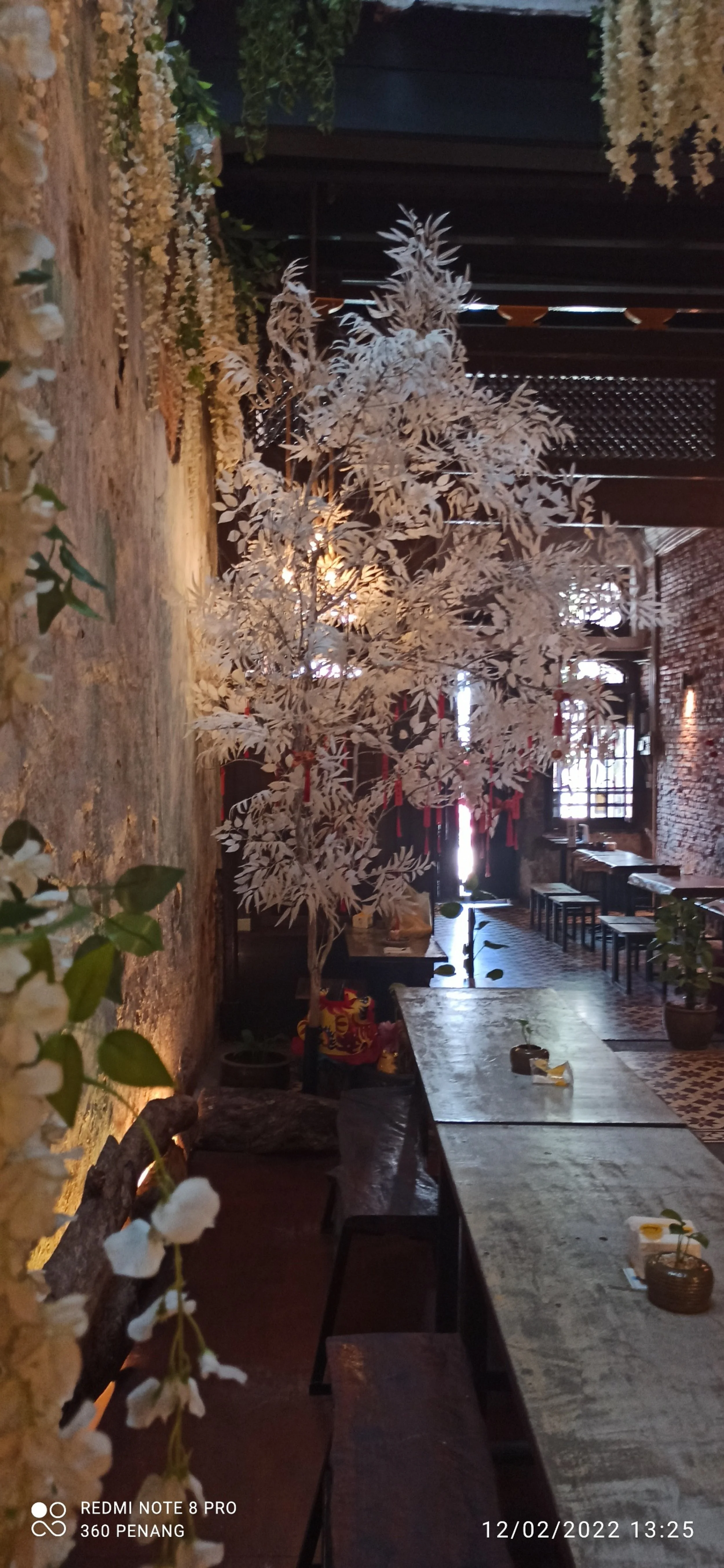 Interior dining area