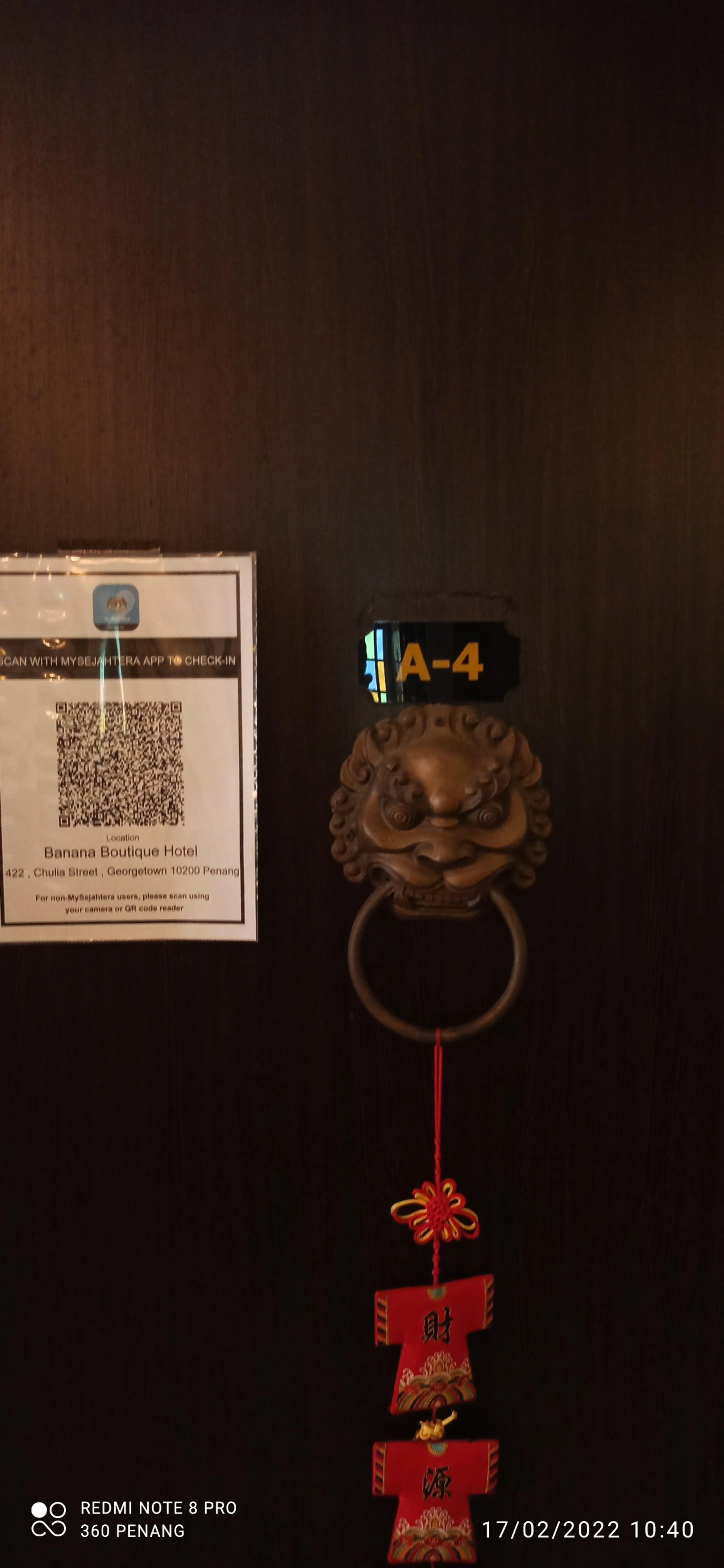 Detail of lion head door knocker