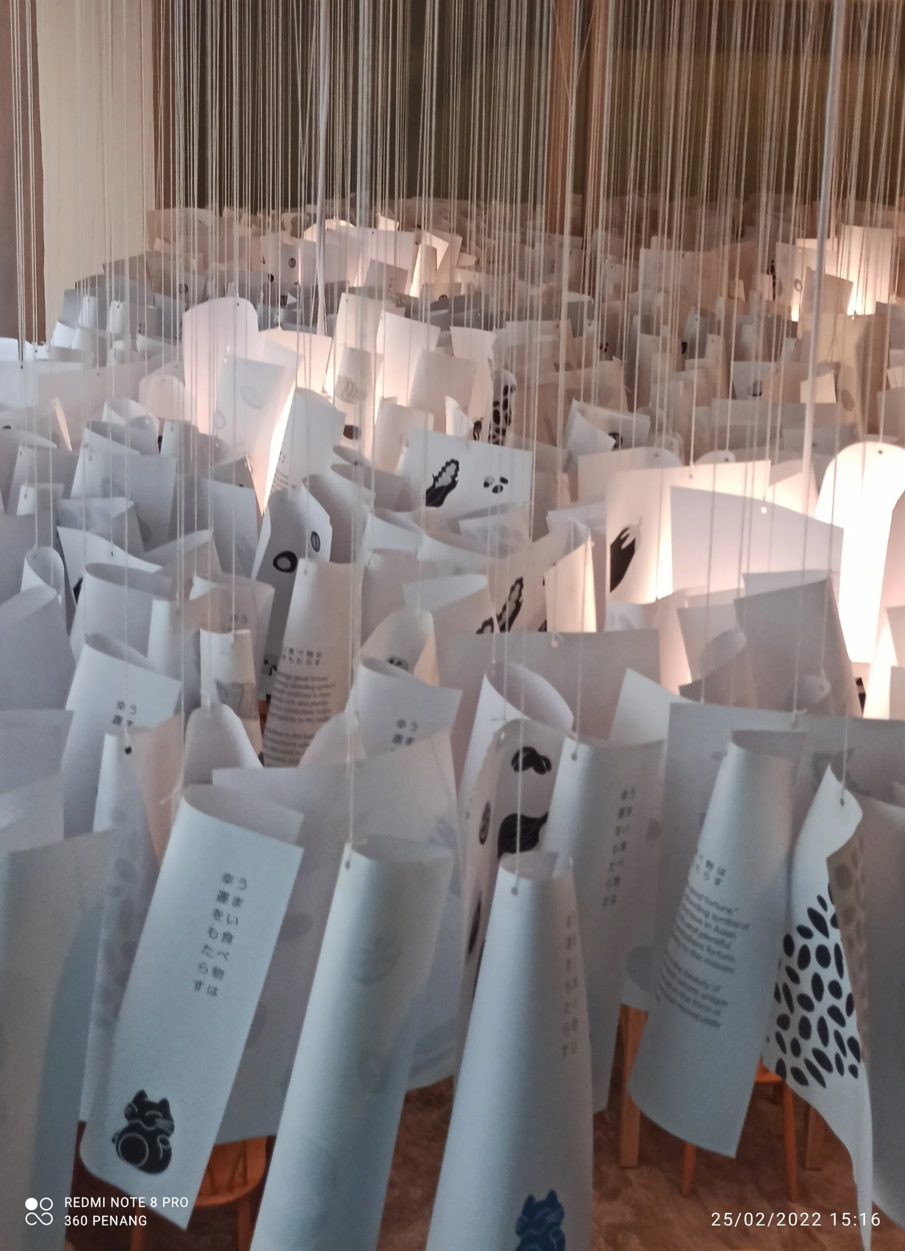 Paper lanterns