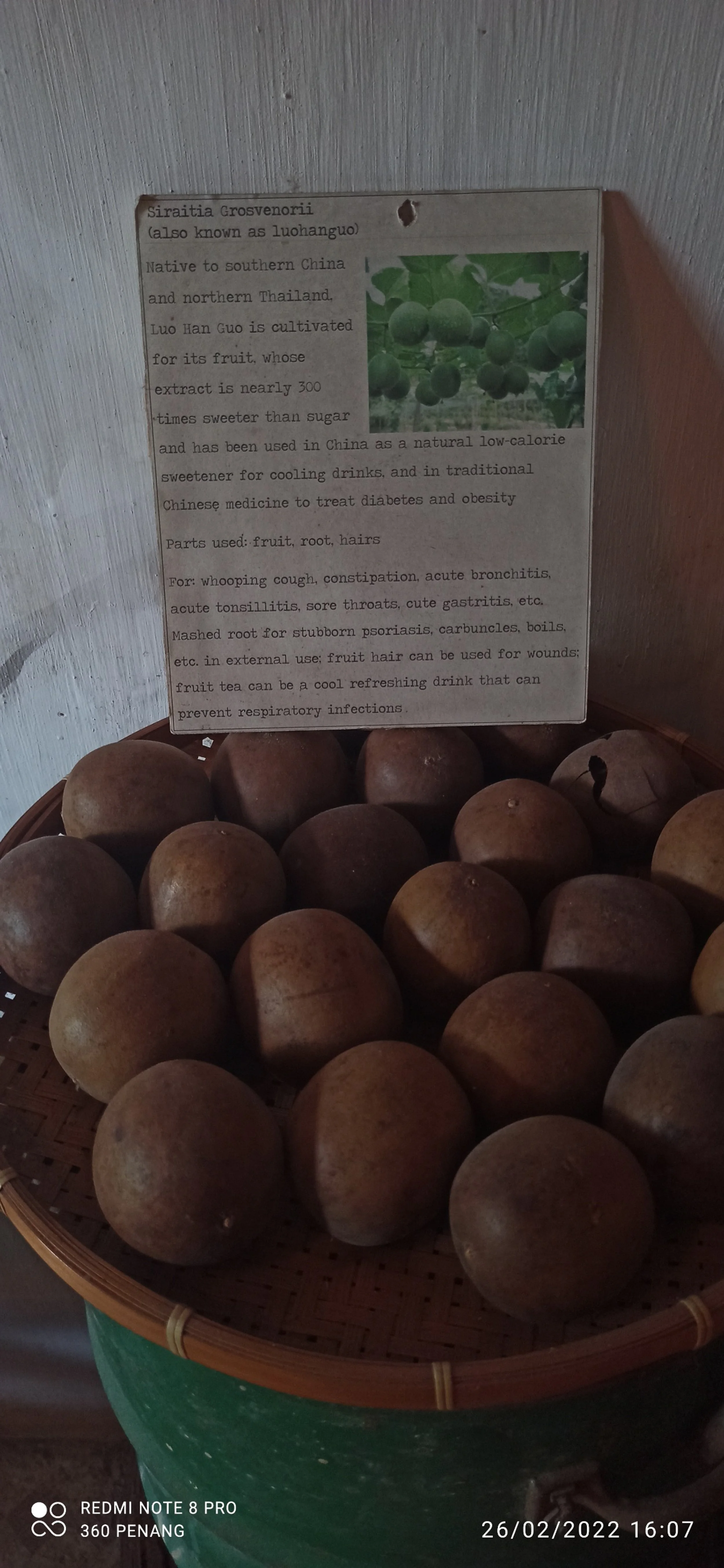 Fruit used in popular beverage