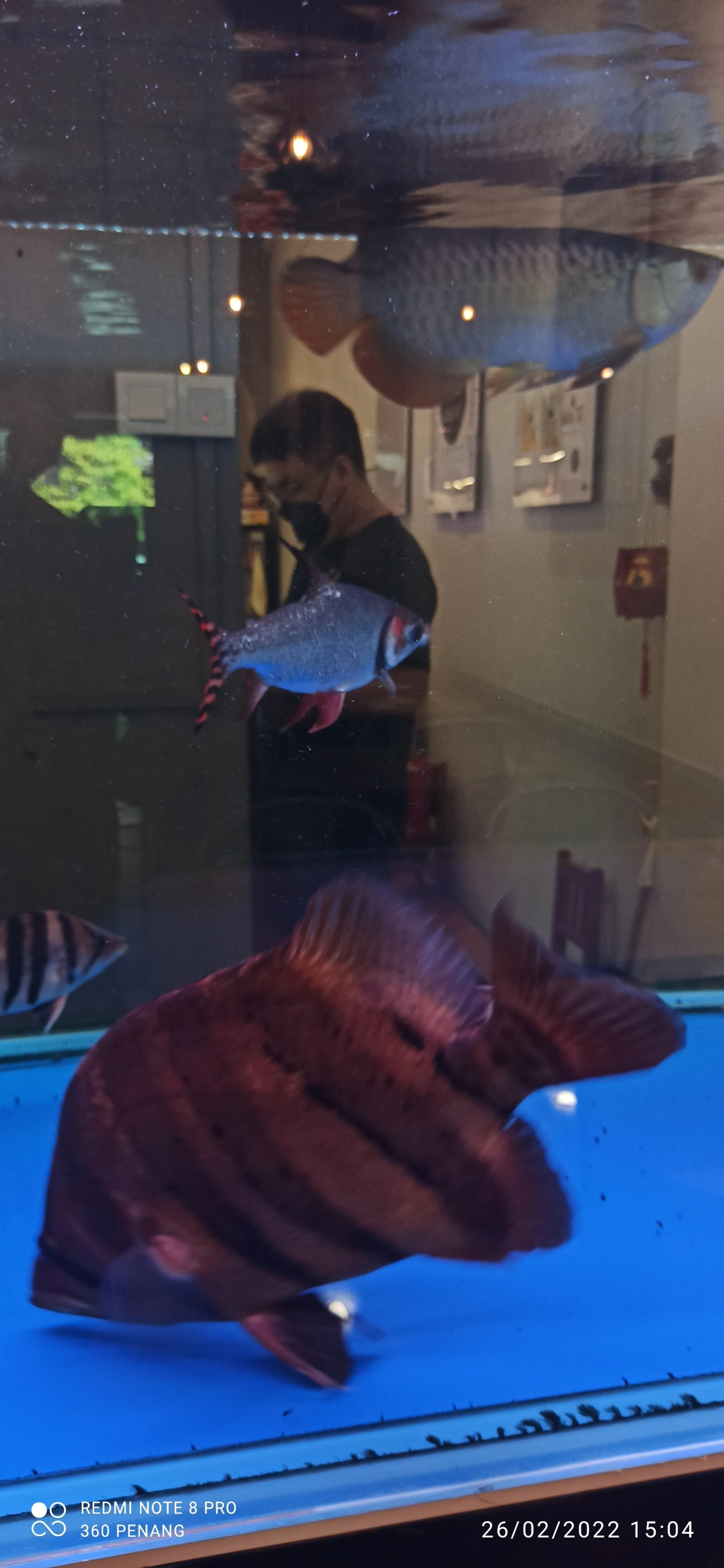 processed_IMG_20220226_150408.jpg