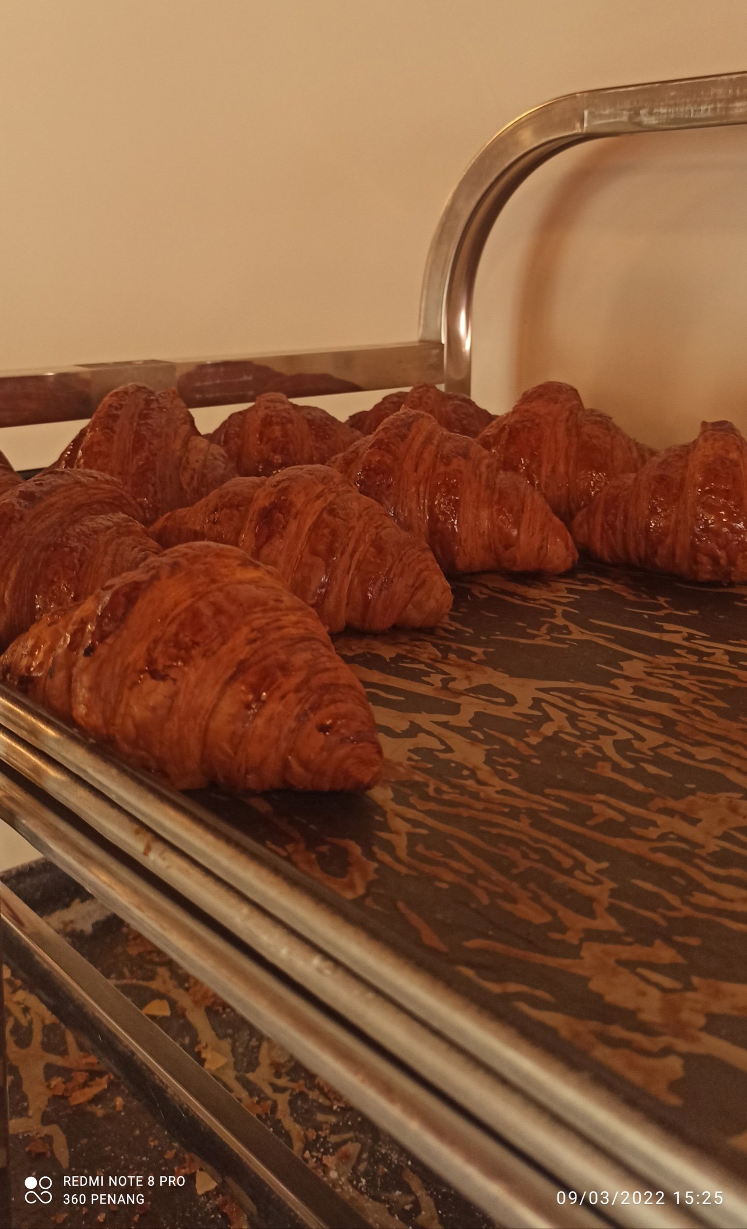 Croissants fresh out of the oven