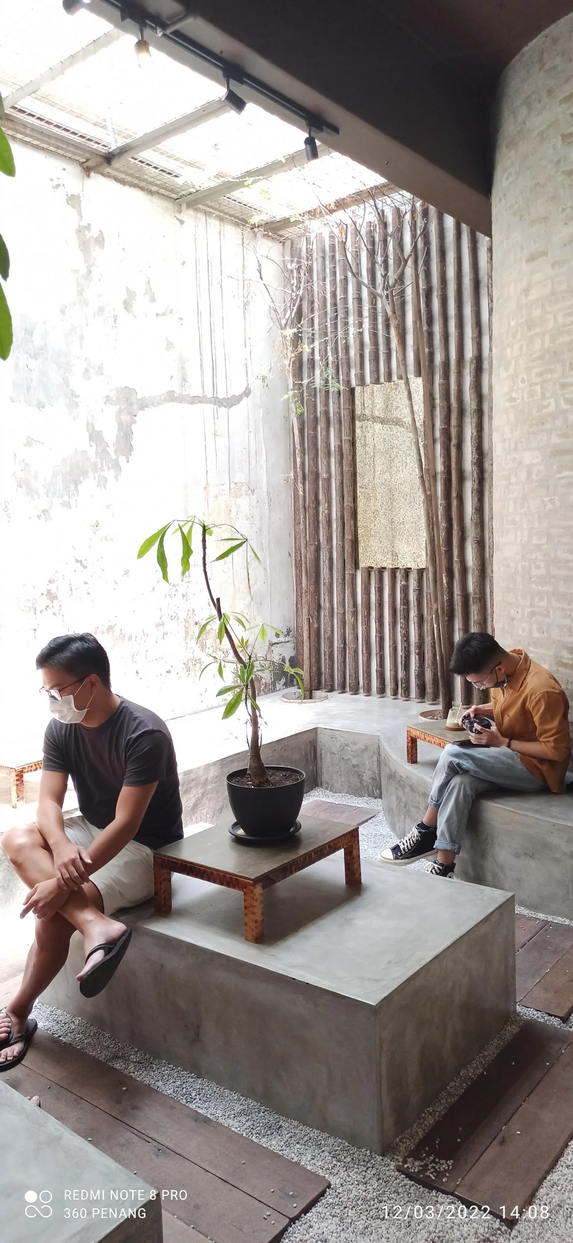 Note potted plant - very Zen
