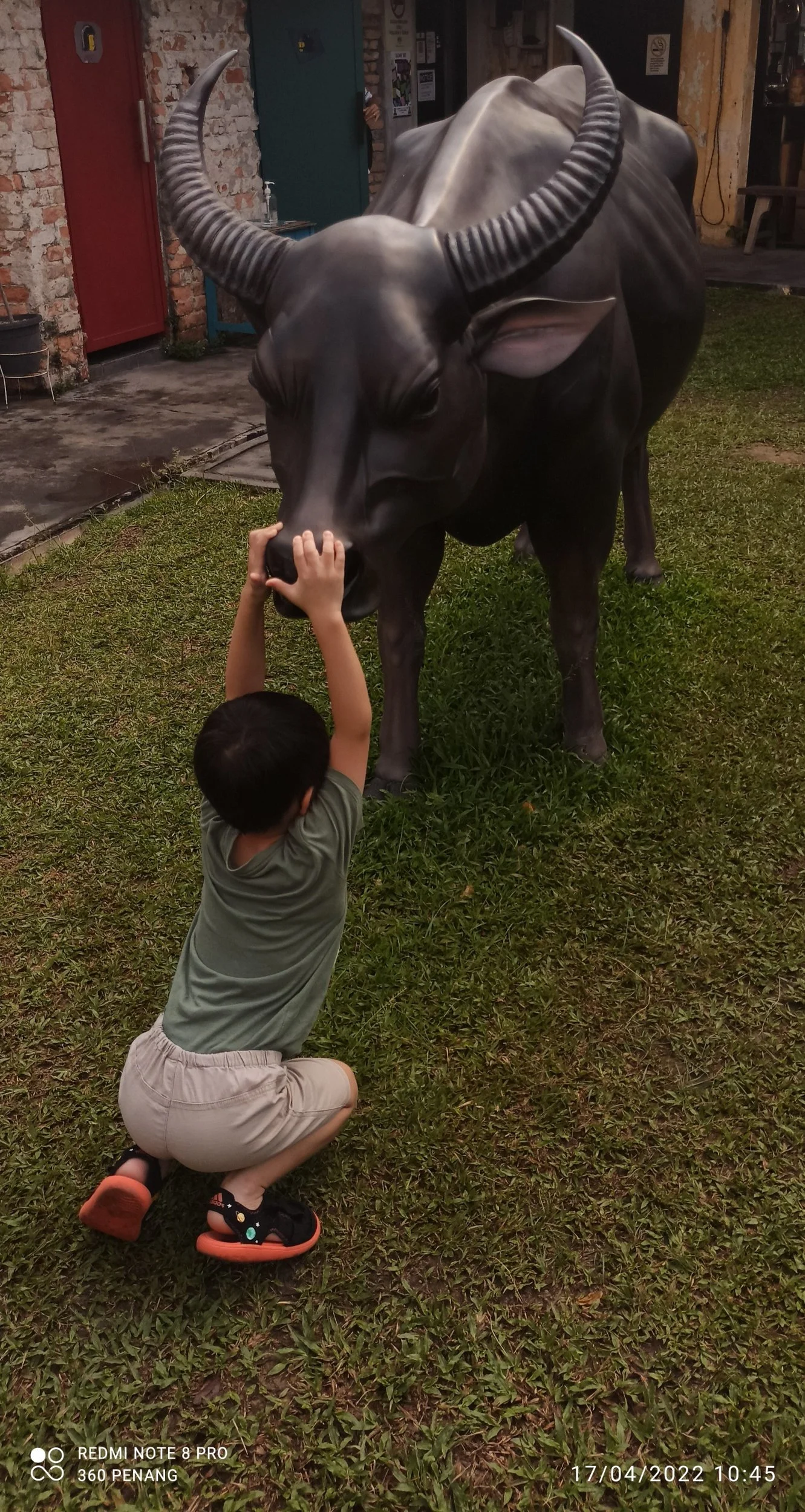 Buffalo sculpture