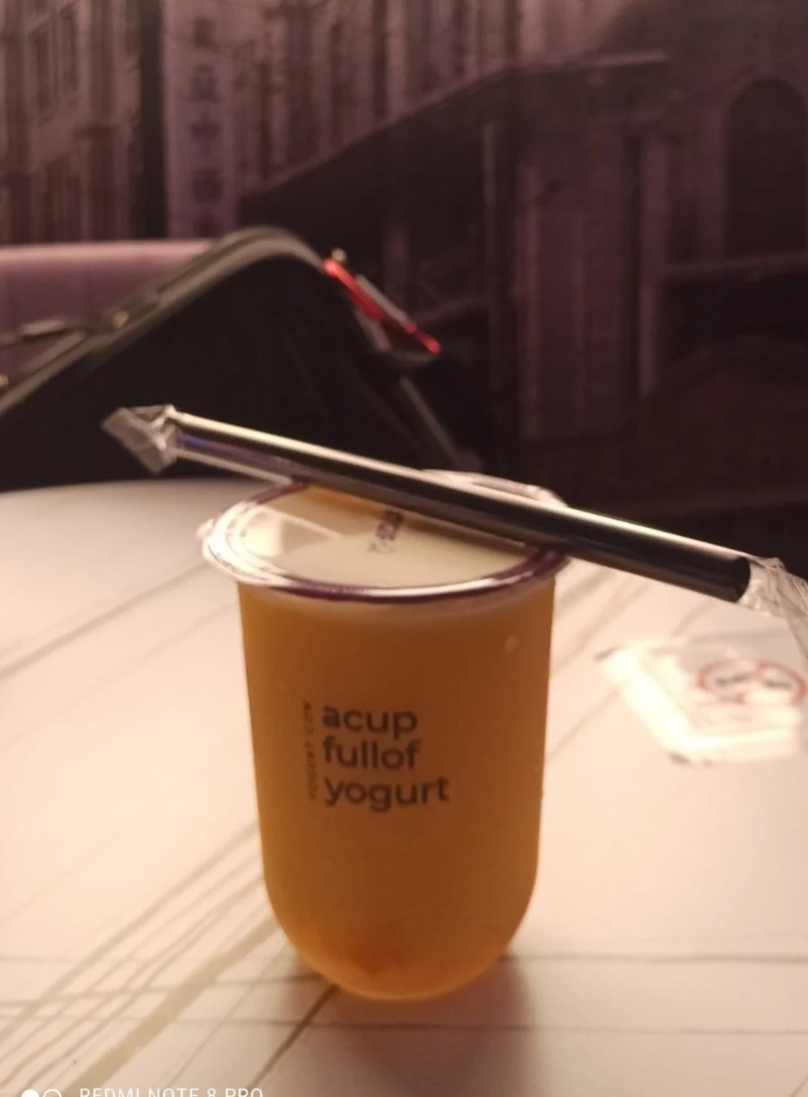 Yogurt Cow @Nagore Square