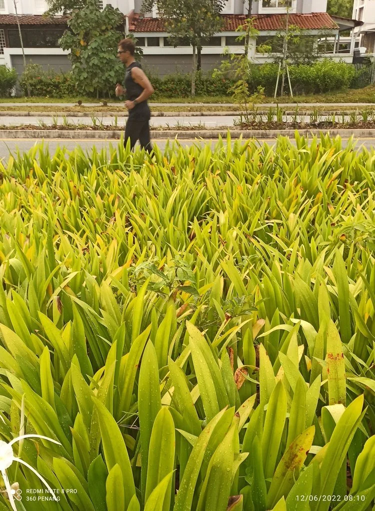 Seri Tanjung Pinang Scences