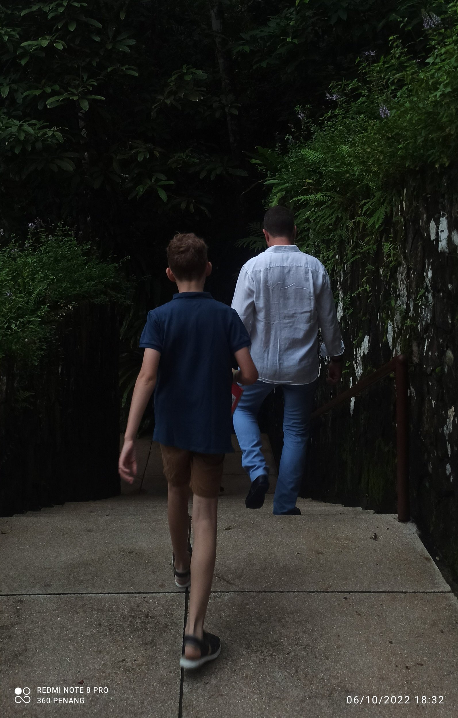 On the way to Butterfly Walk
