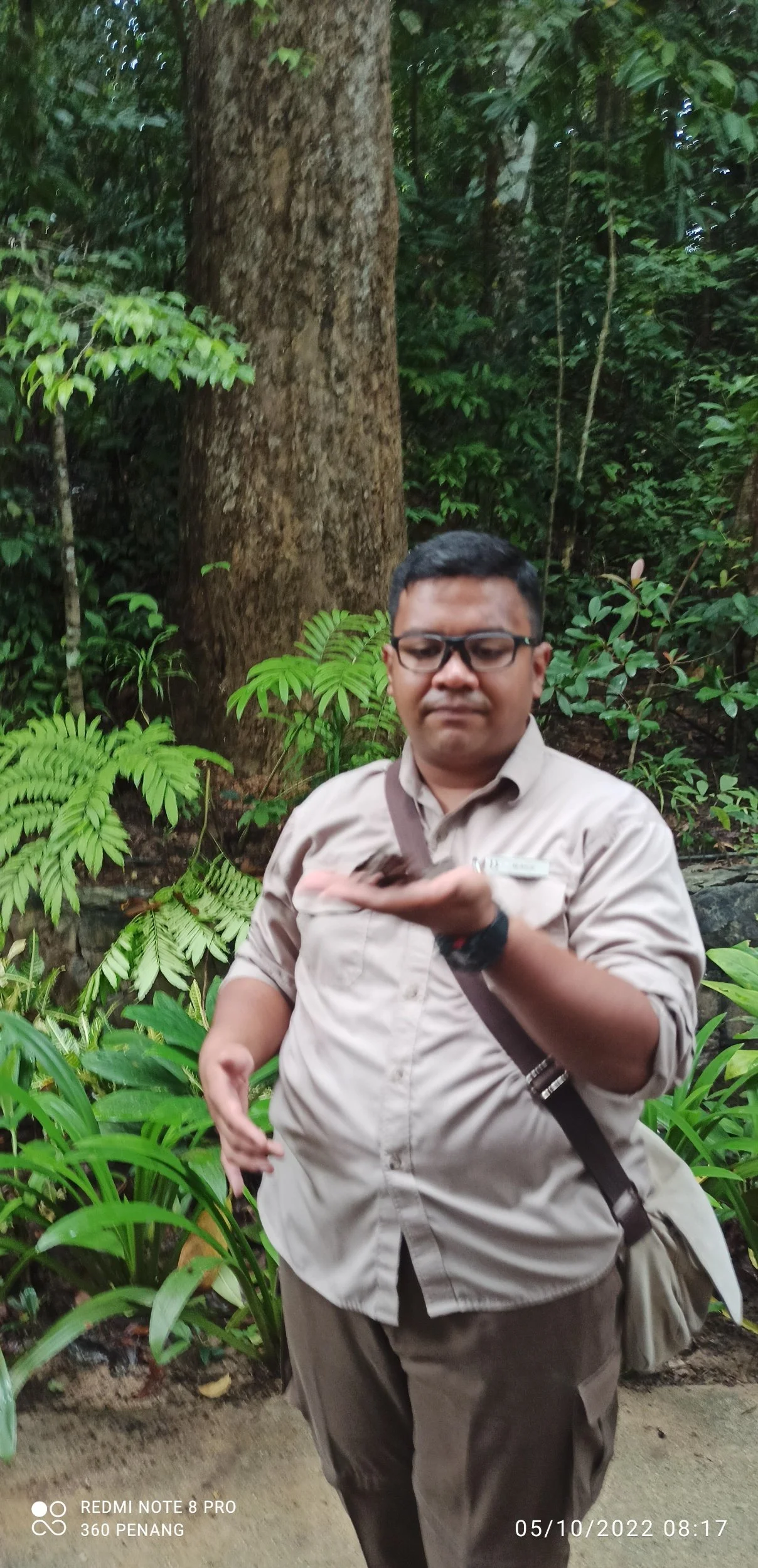 Guide on morning walk