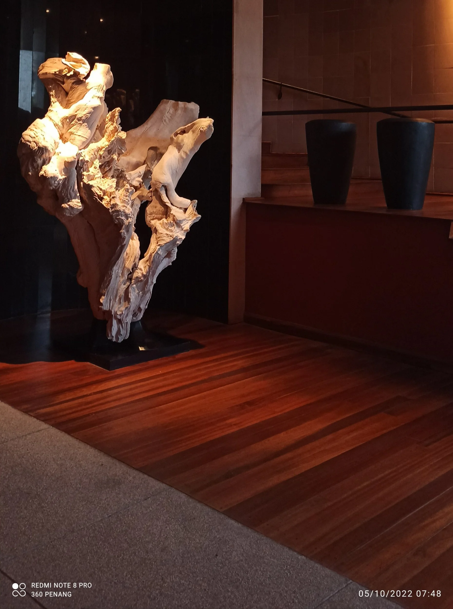 Driftwood sculpture