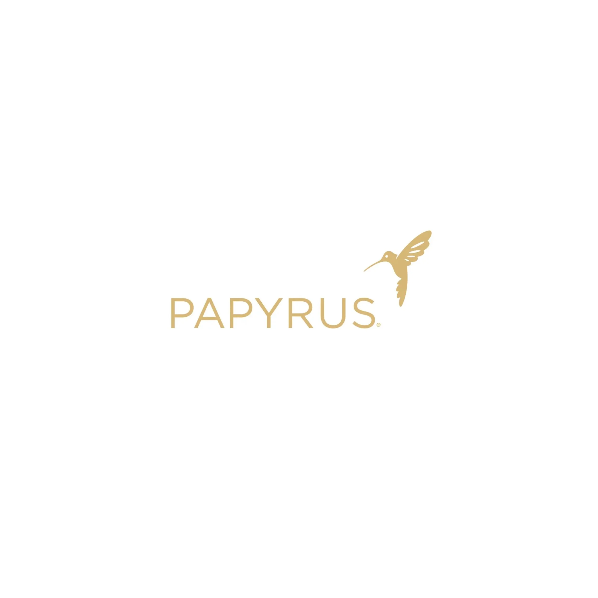 Papyrus Art Direction & Brand Strategic Vision