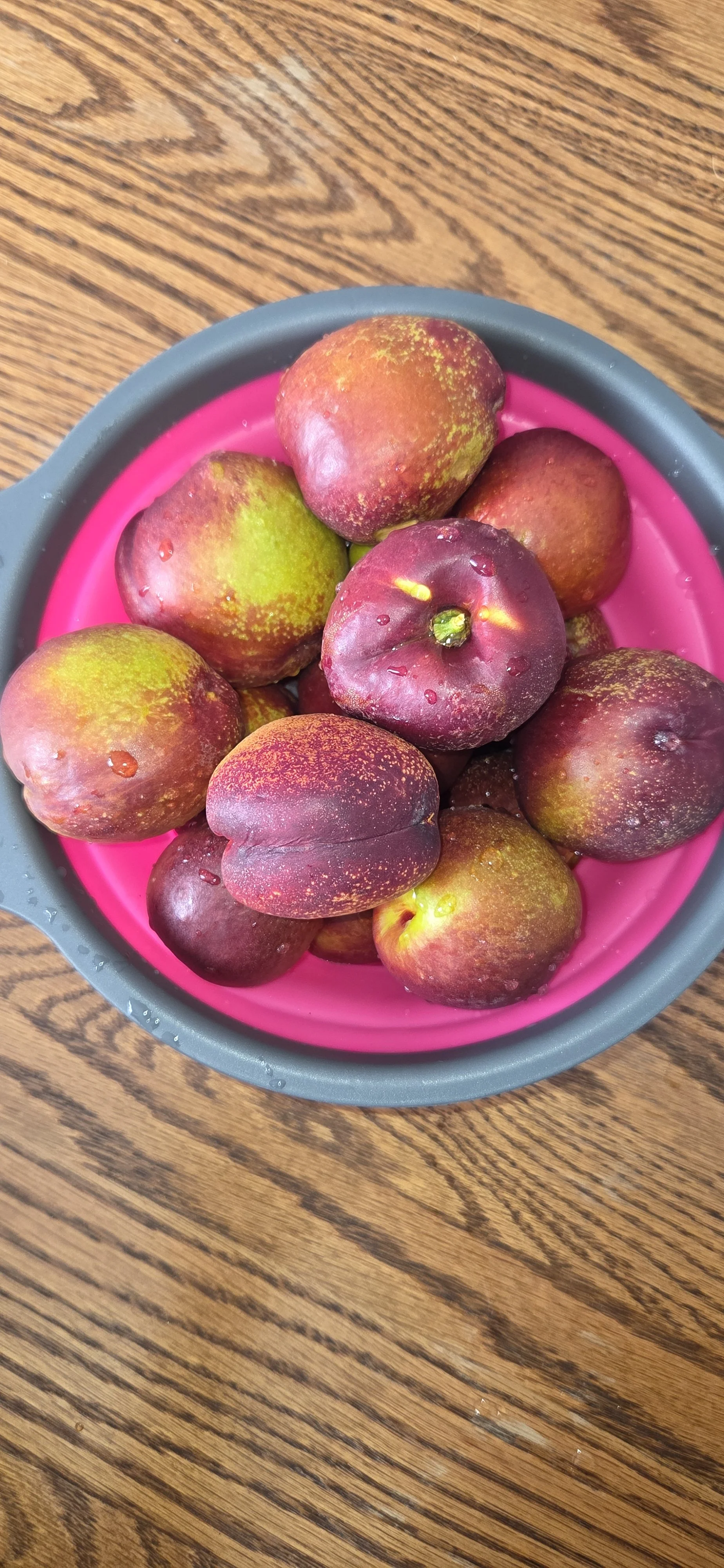 nectarines.jpg