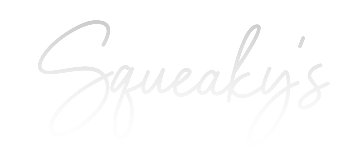    Squeakys Valeting &amp; Detailing 