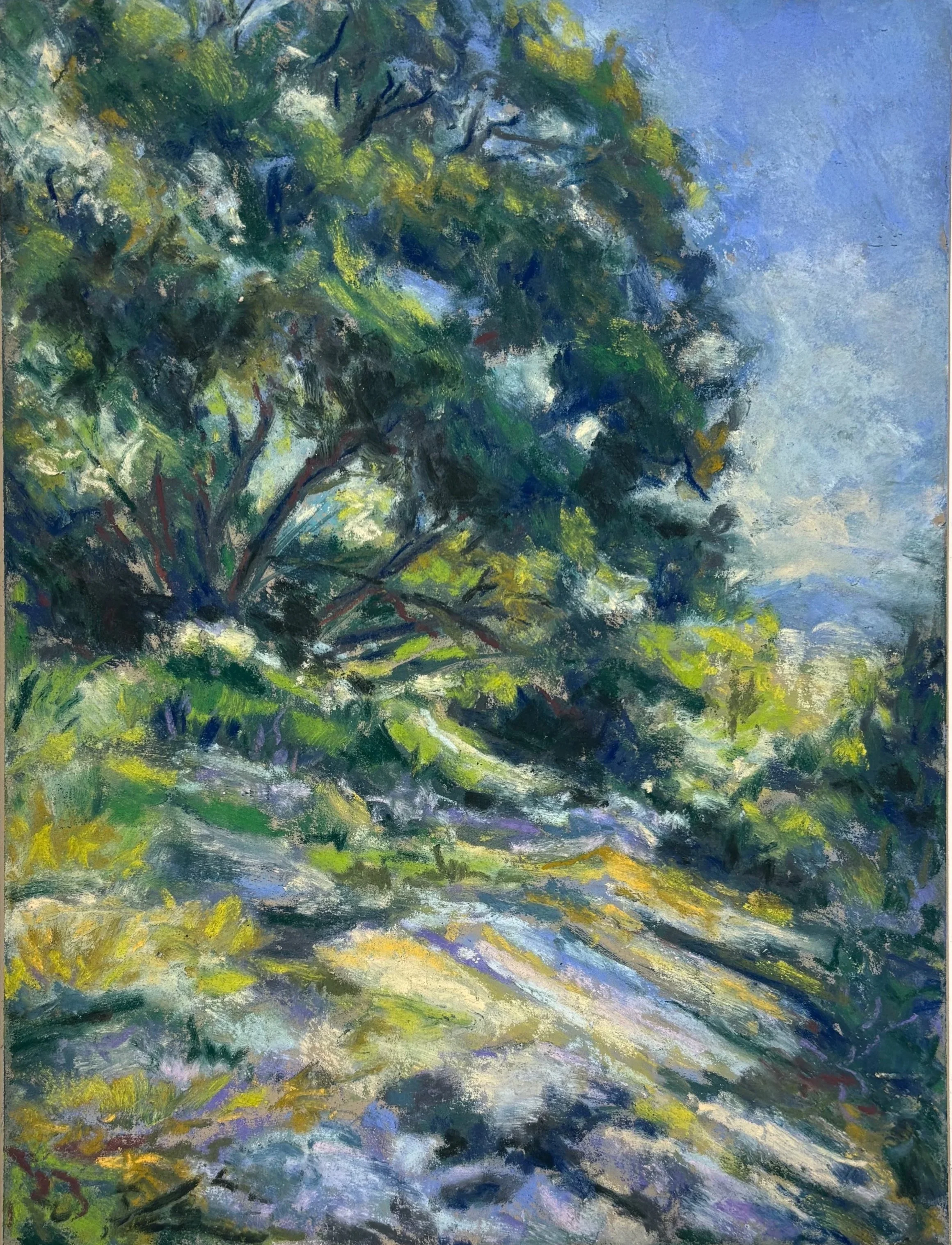 Summer Hike - pastel - 9"x12"