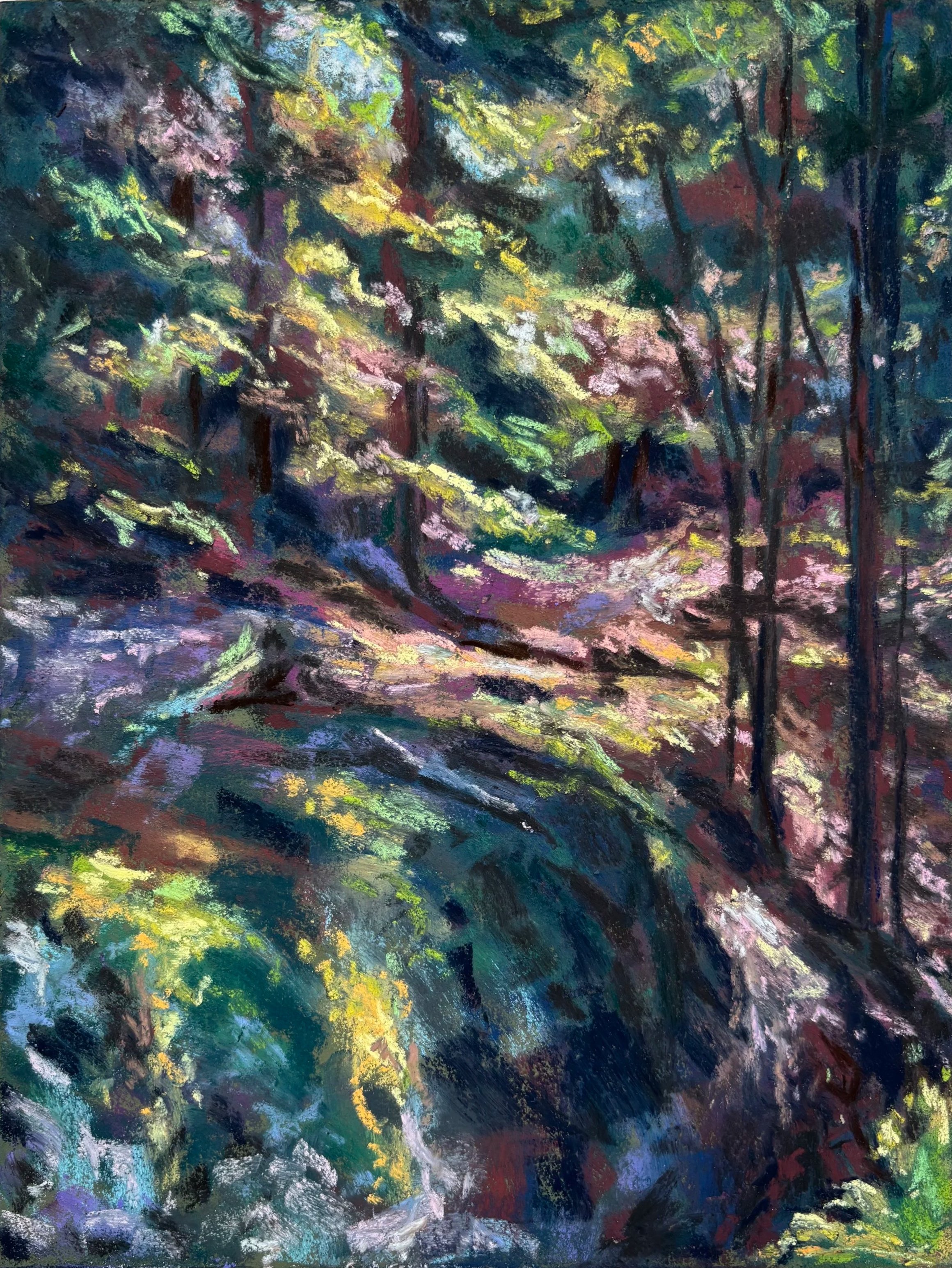Cathedral Woods, Monhegan Island, ME - pastel - 9"x12"