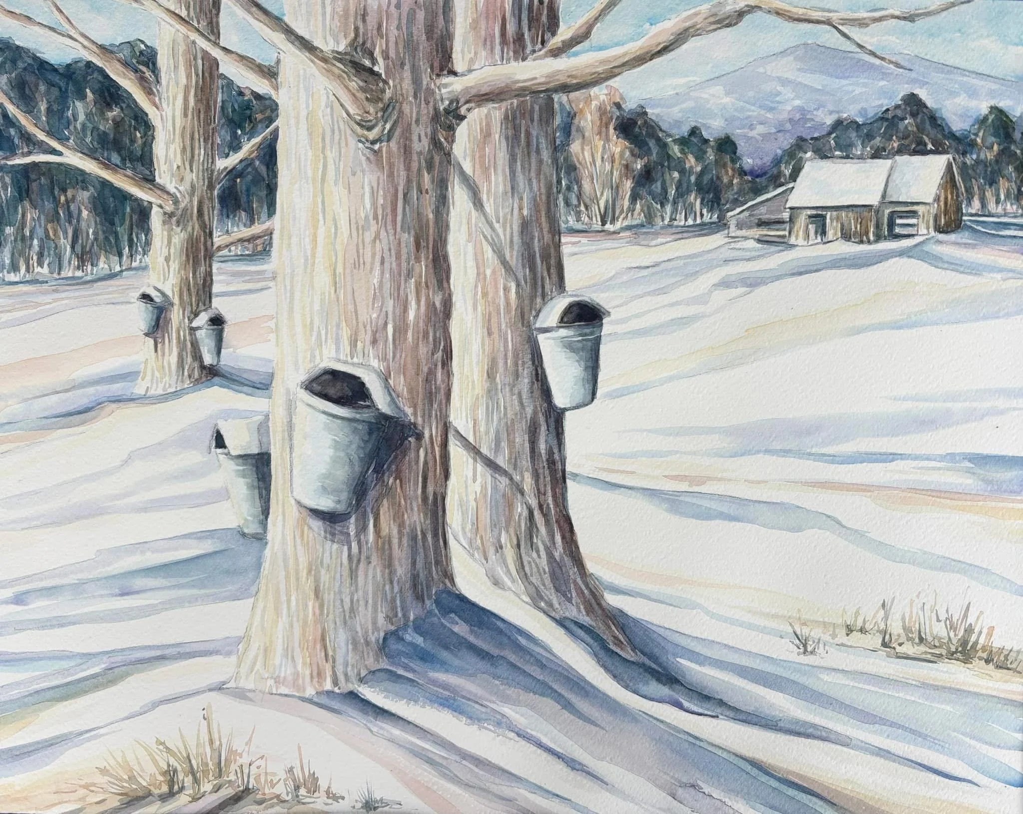 Sap Season, Vermont - 16x20" - watercolor