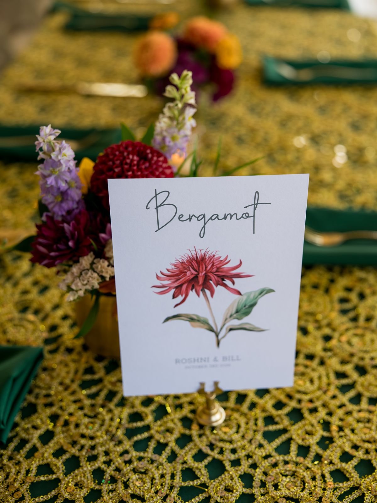 Roshni_Bill_Wedding_Pittsburgh_20262557.jpg