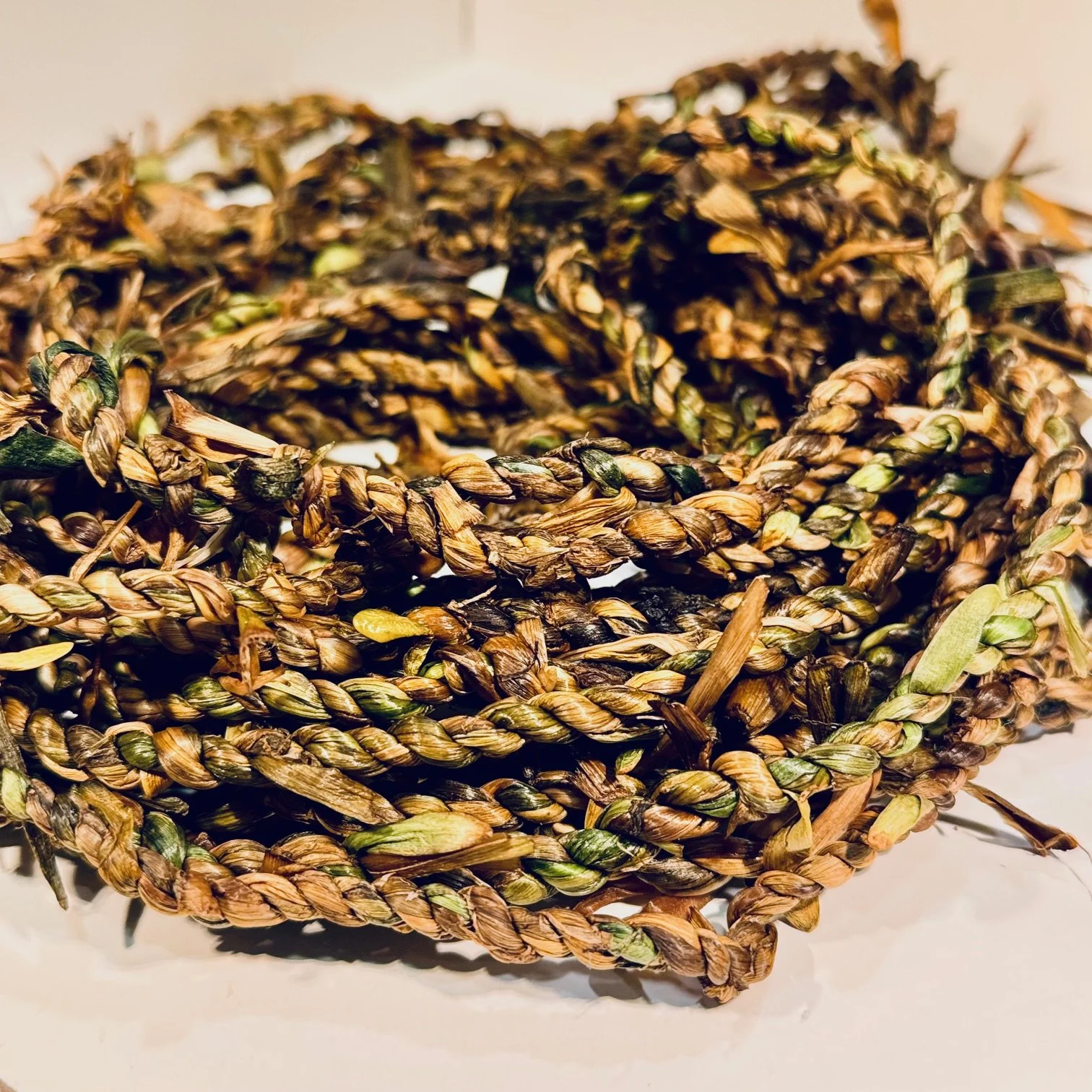 No. 54 30 feet of cordage made with daffodil leaves provided by Timberline Flower Farm, Reno, June 23, 2025.