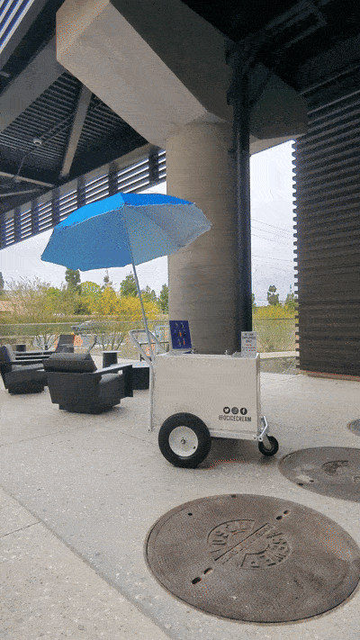 PXL_20240606_182359659.gif