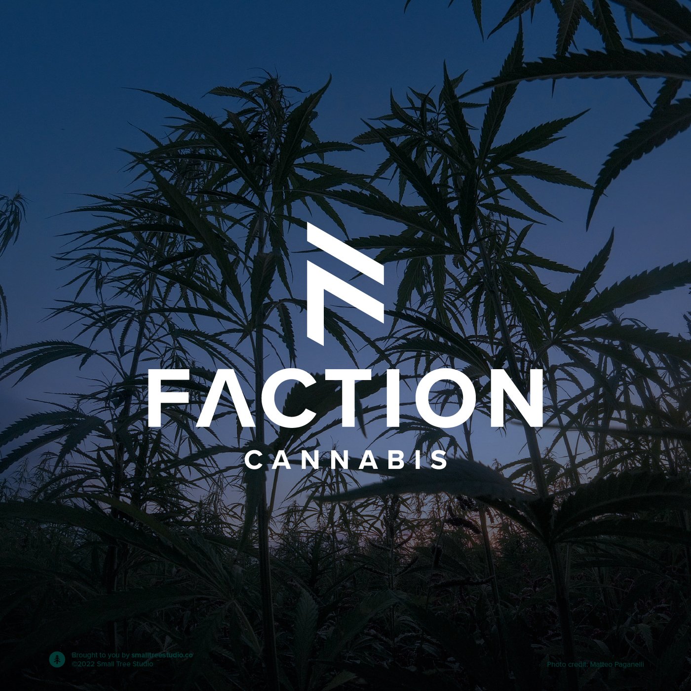 FACTION_lifestyle pic.jpg