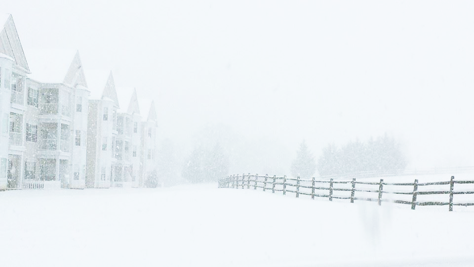 snowy_aggies_circle.png
