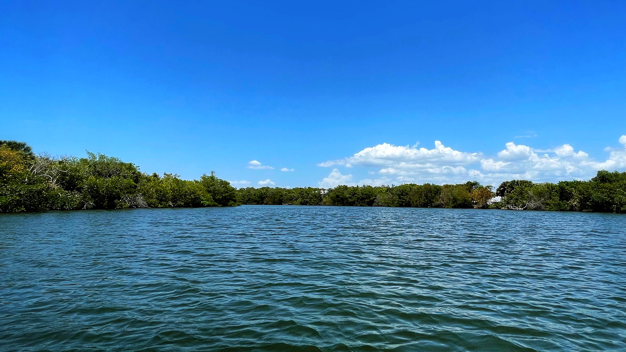 kayaking_water.png