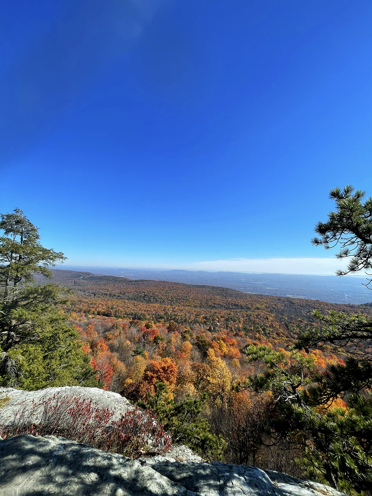 minnetonka_overlook.png