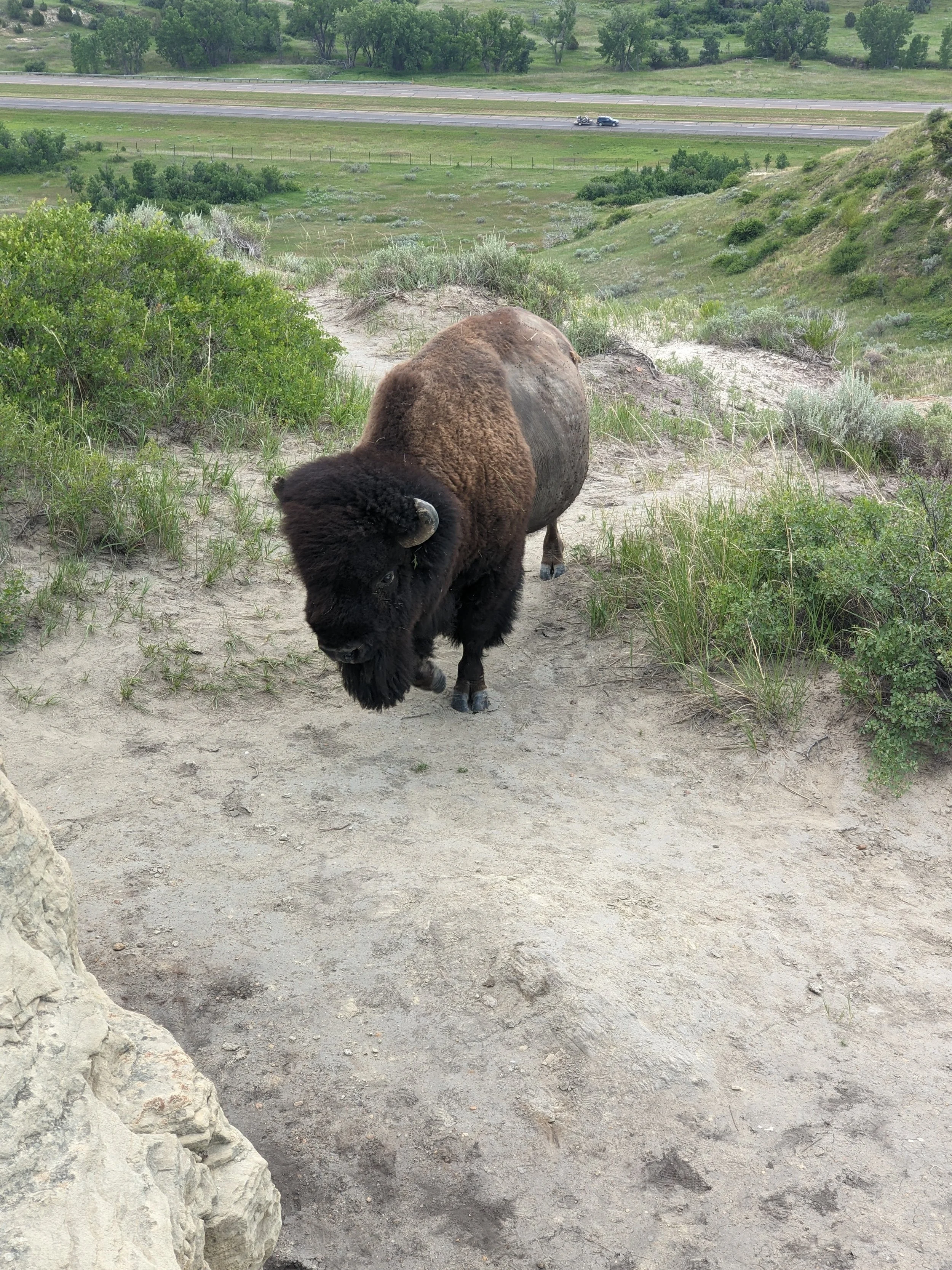 Revisiting the past to build a better future