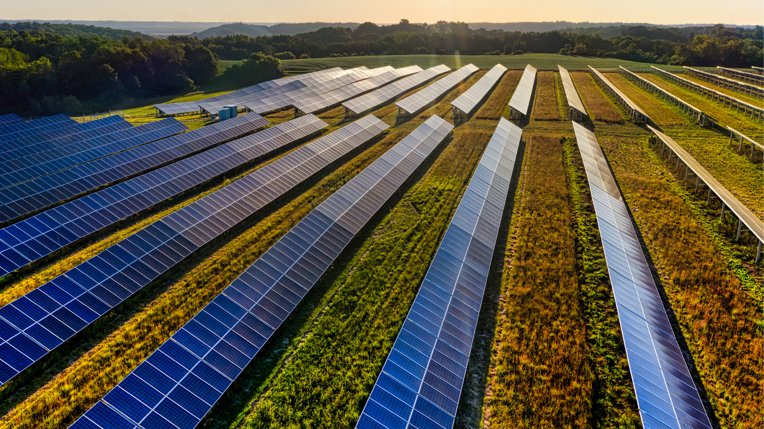 Image of a solar farm