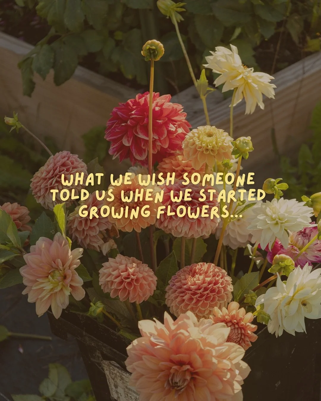 Send this to someone you think should start growing their own flowers 😉✨💗🌷🌻

It may be getting into winter, but it&rsquo;s never too early to start thinking and planning for the next growing season. That&rsquo;s why we are coming out with a simpl