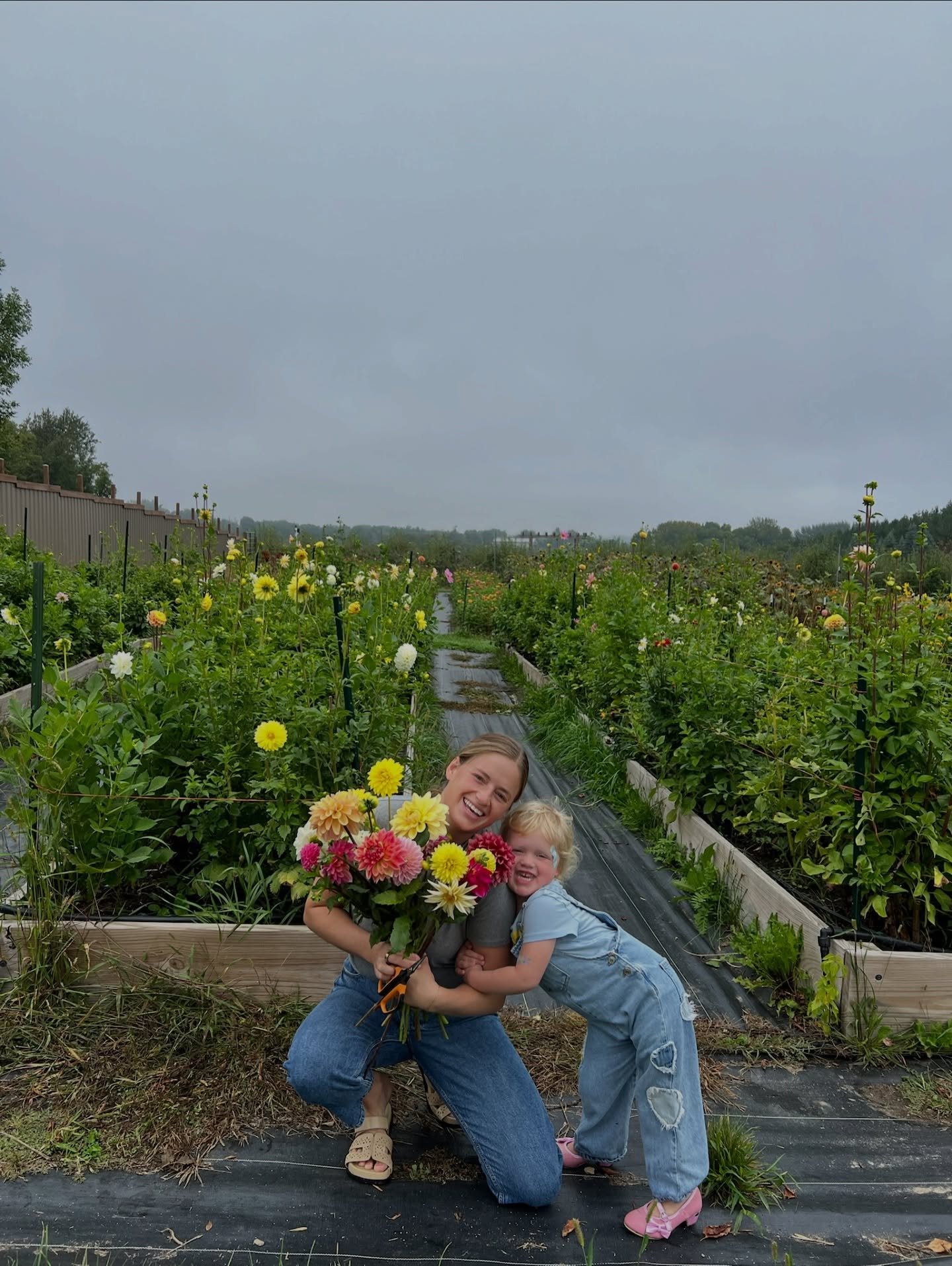 Janie and I just wanted to say we are missing our sweet summer dahlias and can&rsquo;t wait for more to bloom this year🤍🌸

#calandlilyflowerfarm #cutflowerfarm #dahlias #flowerfarmers #minnesotafarm