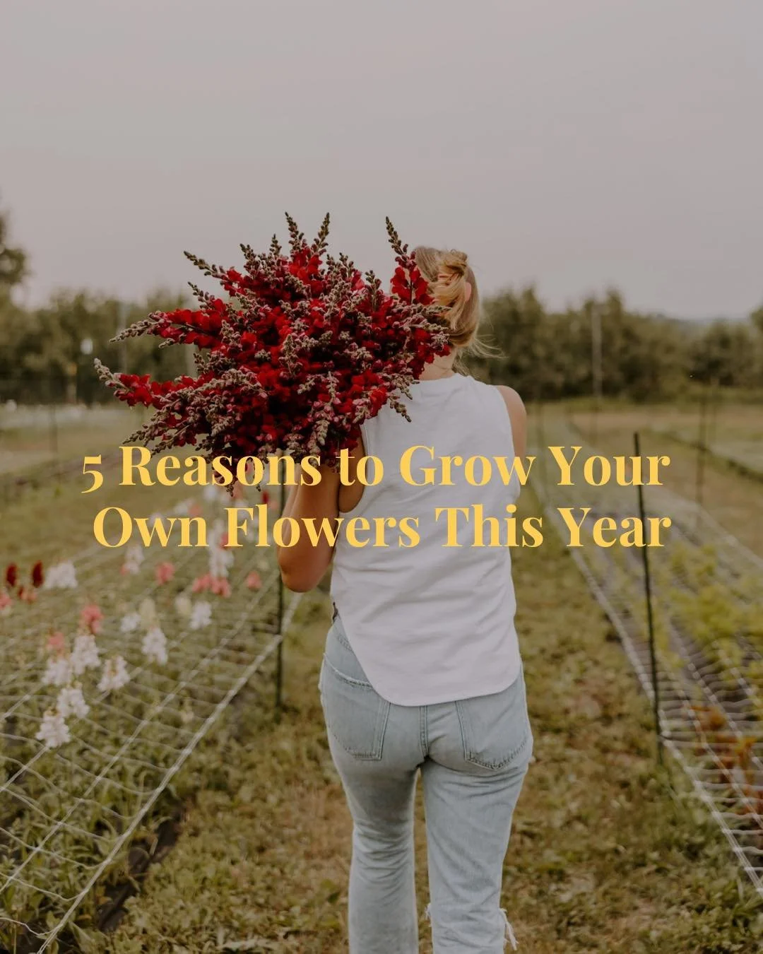 Have we convinced you yet? Growing your own flowers isn&rsquo;t just beautiful, it&rsquo;s rewarding, fun, and easier than you think! 💐

Whether you&rsquo;re a fellow flower farmer looking for fresh inspiration or a beginner ready to start your firs