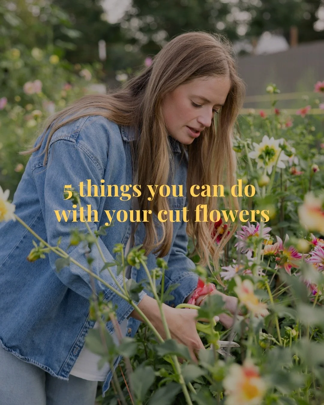 Fresh cut flowers aren&rsquo;t just pretty on your kitchen table&hellip; they&rsquo;re little bundles of possibility 🌸✨

There are so many sweet, creative, joy-filled ways to use your farm flowers once you bring them home, all guaranteed to make you