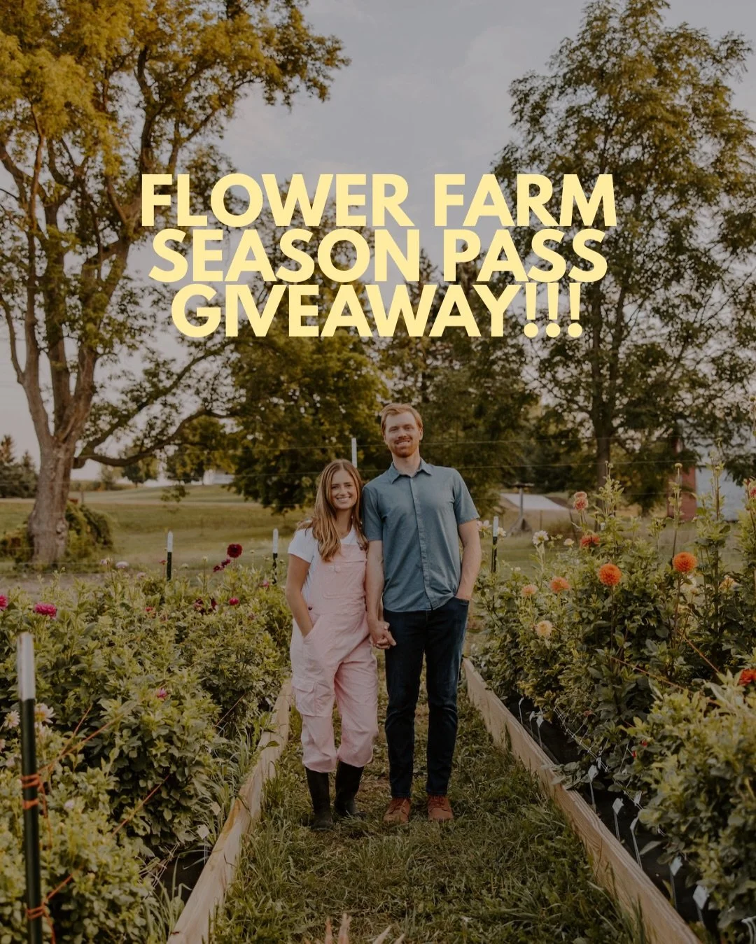 SEASON PASS GIVEAWAY!!! A whole summer of this. For free. 🌸

We&rsquo;re giving away one Cal &amp; Lily Season Pass, all-summer access to our U-Picks from July through September. Every variety. Every session. Yours.

These go on sale June 6th for $2