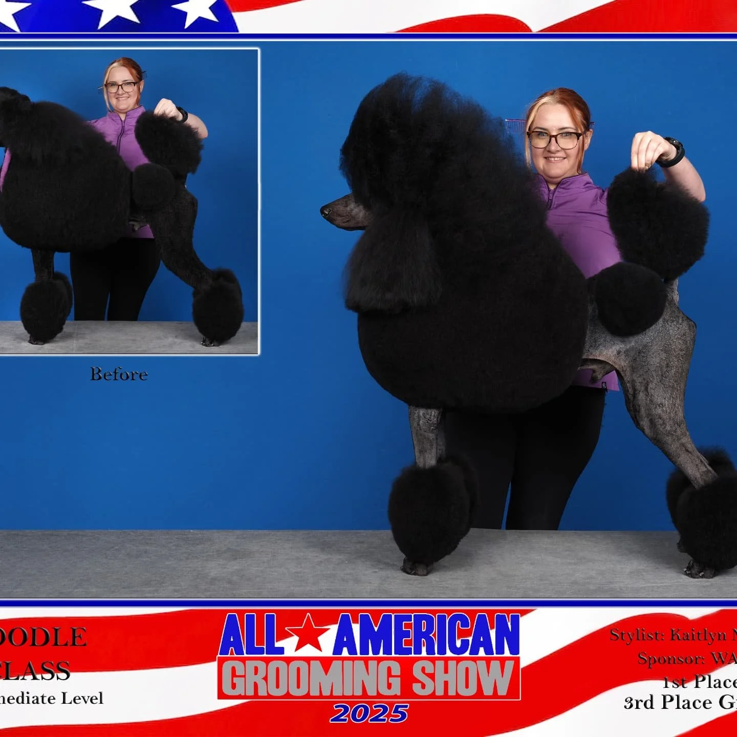 I recently competed at All American Grooming Show in Schaumburg, IL. I took Z on the big stage with BIG hair, and thankfully came away with some new trophies to add to the growing collection! We ended up winning 1st Place in Intermediate Division and