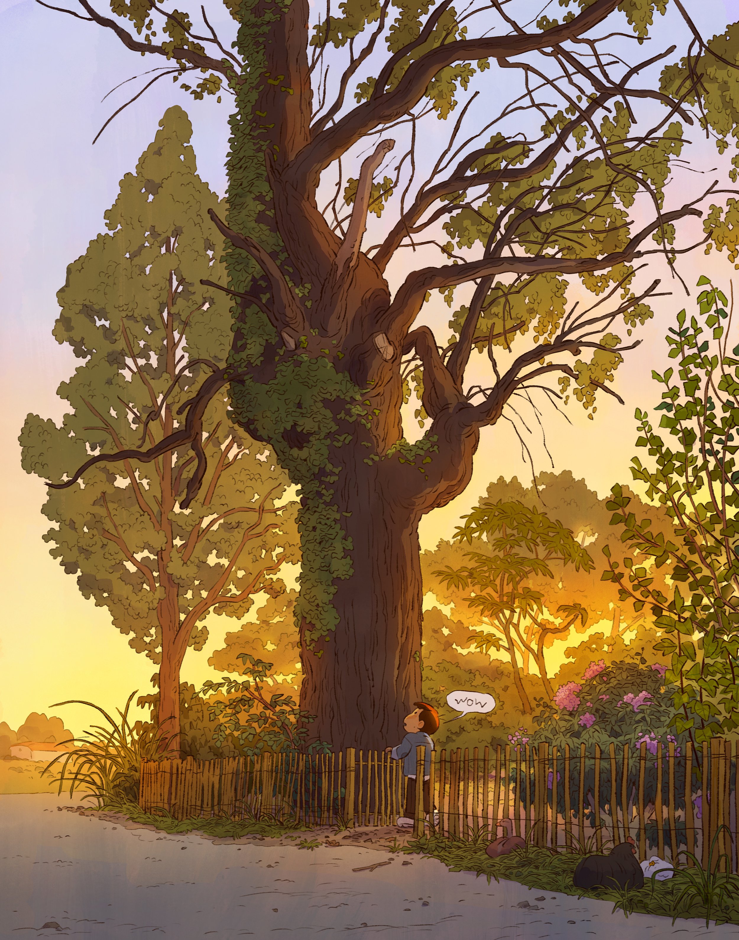 nature.jpg