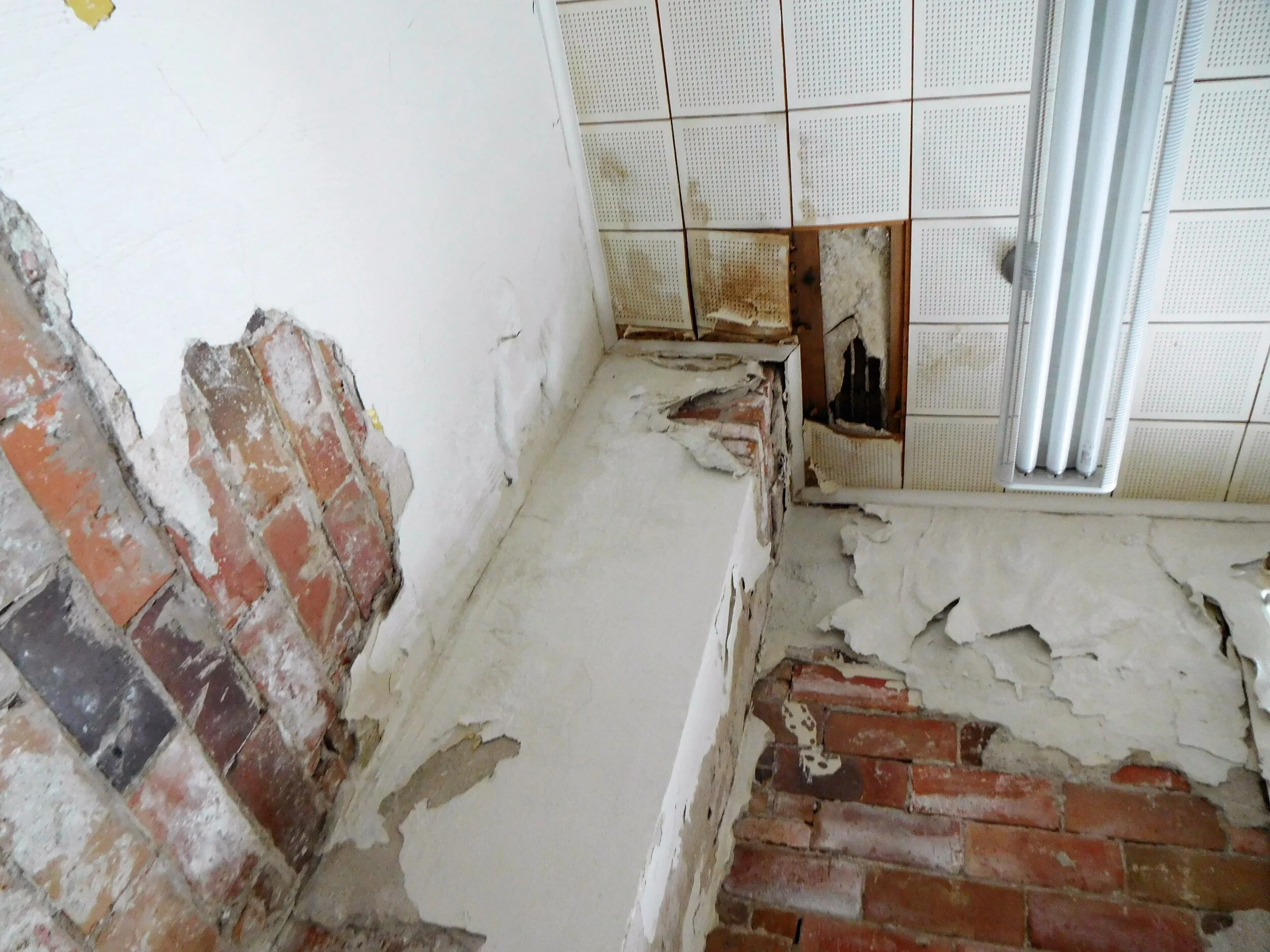 DSCN0800.JPG