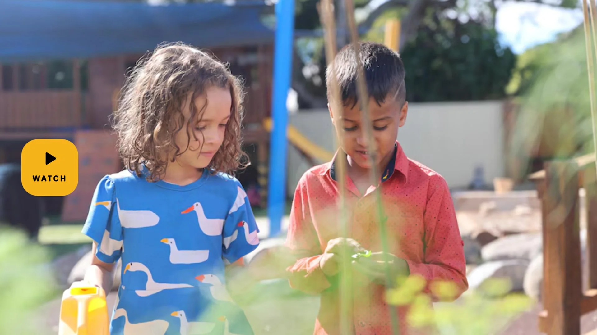 Allies and Friends - Communication (ABC Kids)