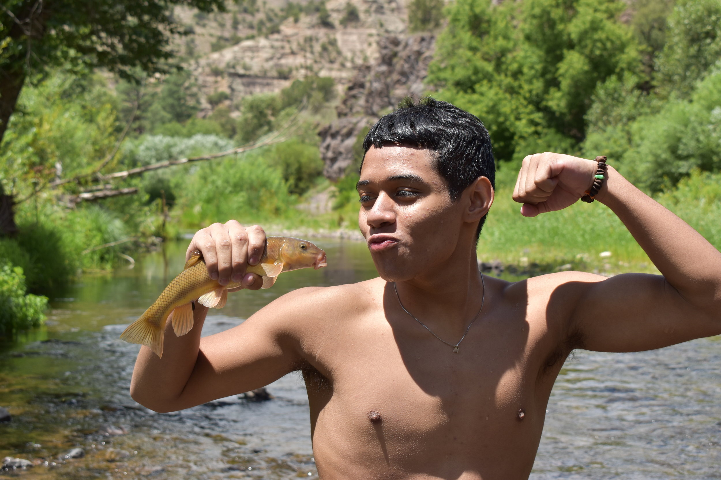 DSC_0240.jpg